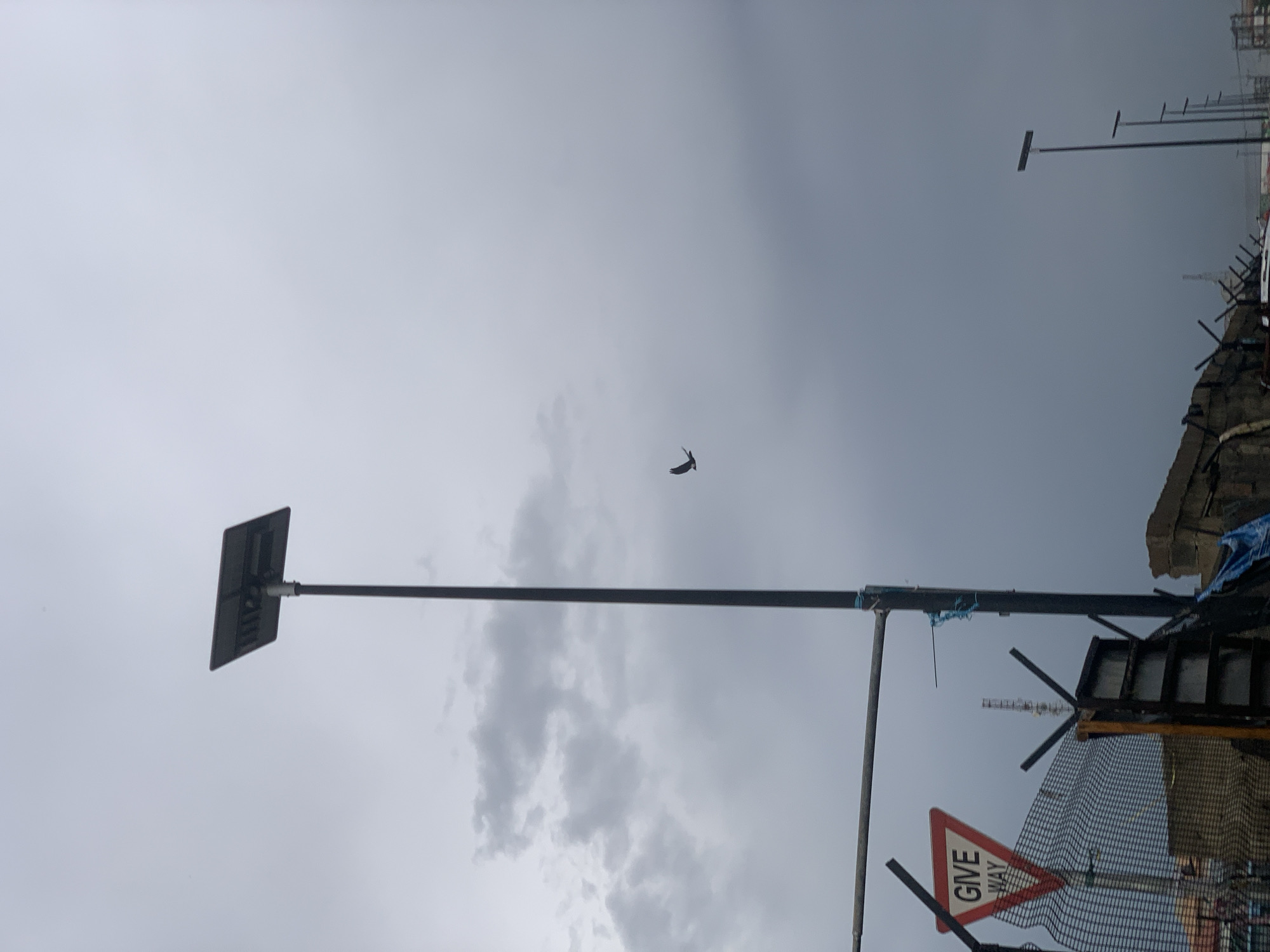 The image shows an overcast sky above a street in Ikorodu, Nigeria. Several tall, thin poles with rectangular attachments at the top (likely solar-powered lights) are visible. In the foreground, a "Give Way" traffic sign is partially obscured by fencing and construction materials. A bird is flying in the sky. The image is taken from a low angle.