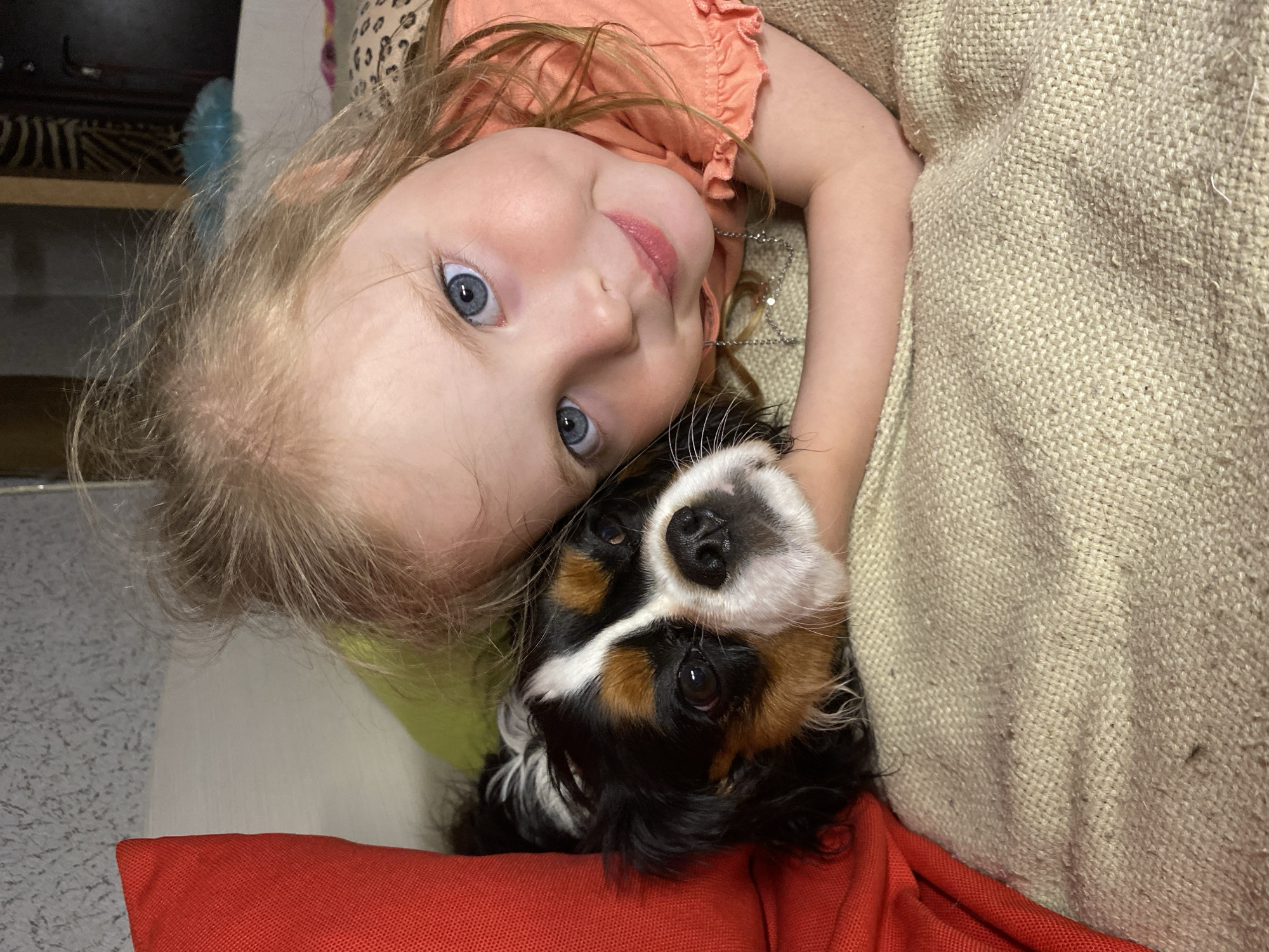 A young girl with blonde hair and blue eyes is lying on a couch with a Cavalier King Charles Spaniel. The girl is wearing a peach-colored shirt and a necklace. The couch is beige with a red pillow beneath the dog. The background includes a shelf with various items. The location is presumed to be indoors, in a domestic setting. There is no indication that this photograph was taken in Votkinsk, Russia.