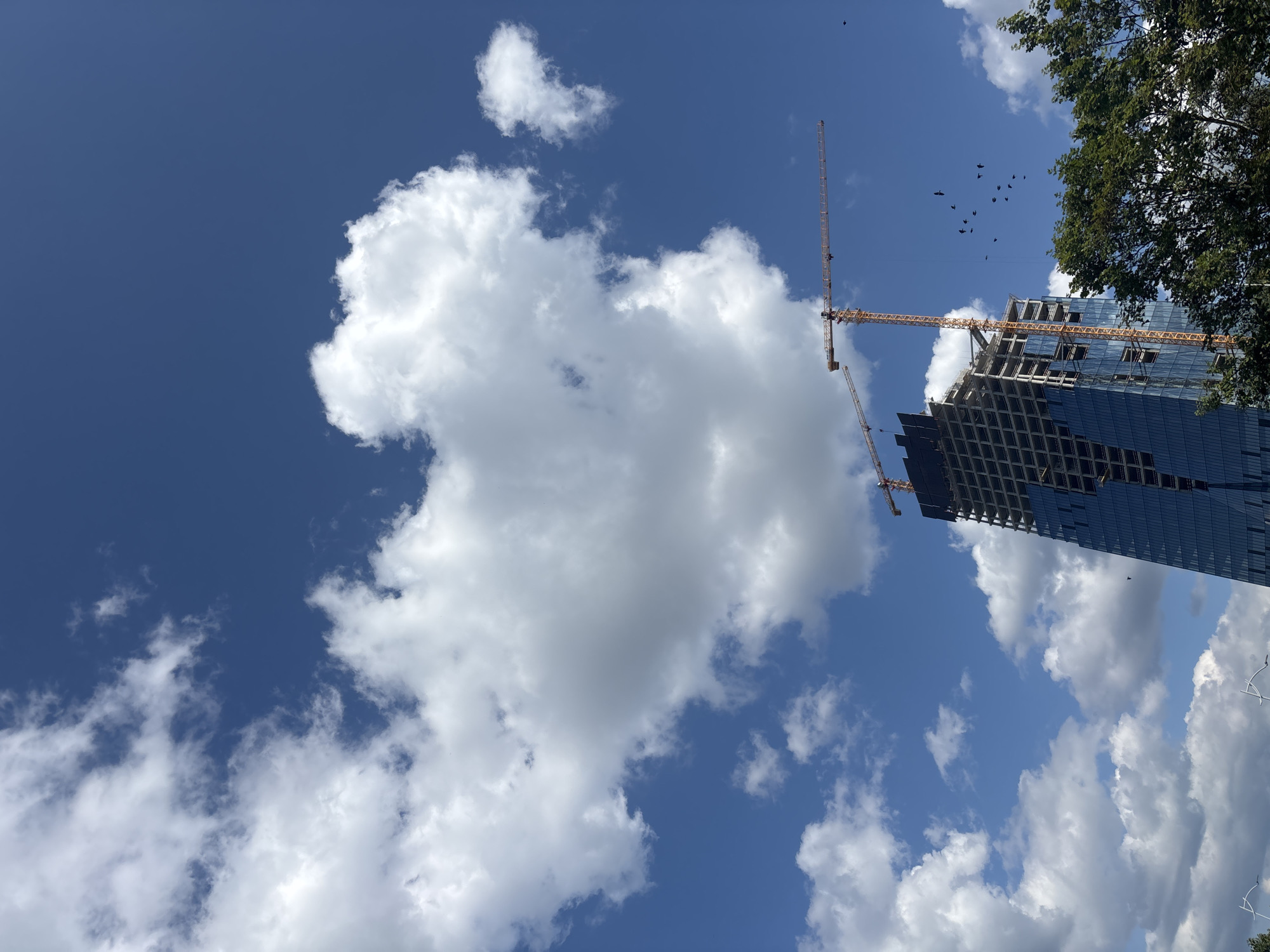This is a low-angle shot looking up at a partially constructed skyscraper against a bright blue sky dotted with white cumulus clouds. Two construction cranes are visible, one tall and orange, the other shorter and partially obscured by the building. The skyscraper itself has a dark, reflective glass facade on its lower floors, while the upper levels are a grid of concrete and exposed rebar, indicating ongoing construction. A cluster of dark birds, possibly crows or pigeons, are flying in formation in the sky. A portion of a lush green tree is visible in the upper right corner, suggesting an outdoor urban setting. The bright daylight and clear sky indicate it is daytime, likely a sunny day. The scene conveys a sense of ongoing development and urban growth. There is no visible text in the image.