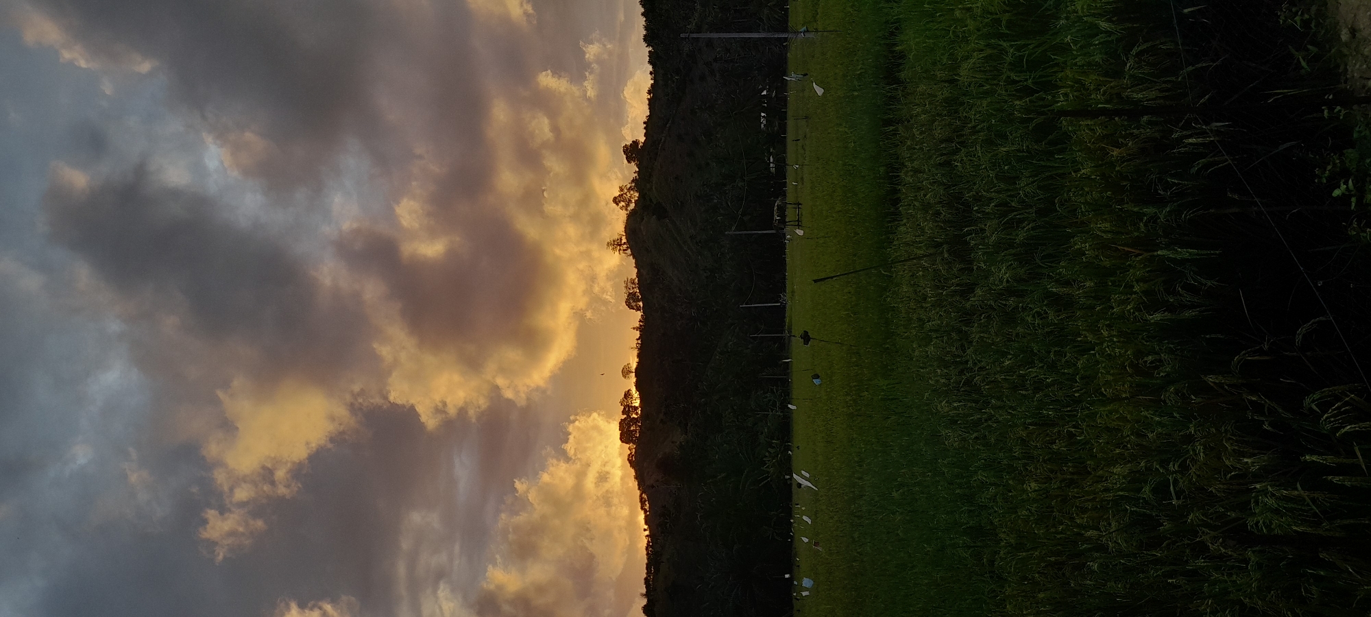 The image depicts a view in Palohpanyang, Indonesia, under a sky dominated by clouds. A hillside, silhouetted against a yellow-orange sunset sky, separates the sky from a green field. Utility poles run through the field. The right edge of the field transitions into darker, overgrown vegetation.