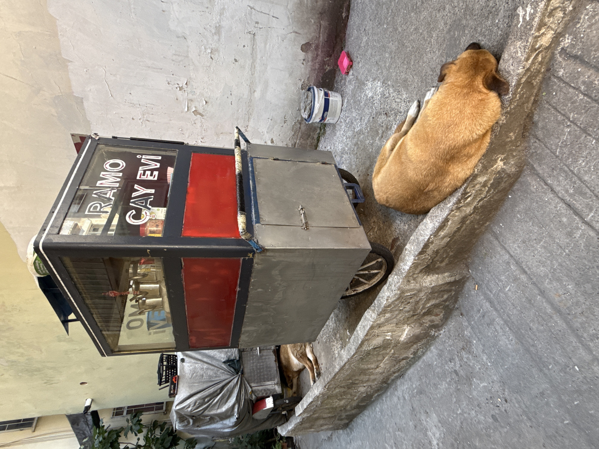 A street food cart, identified by the sign "RAMO CAY EVİ," stands on a cobblestone alleyway in Kadıköy, Turkey. The cart features a glass display case filled with teapots and other items, with a red lower panel and a silver body with wheels. Two dogs are resting in the shade of the cart; one lies on its side in the alley, partially beneath the cart, while the other is curled up asleep on the cobblestones. A white paint bucket with a grey lid and a small pink container are also present near the cart. The scene is illuminated by natural sunlight, casting shadows on the ground.