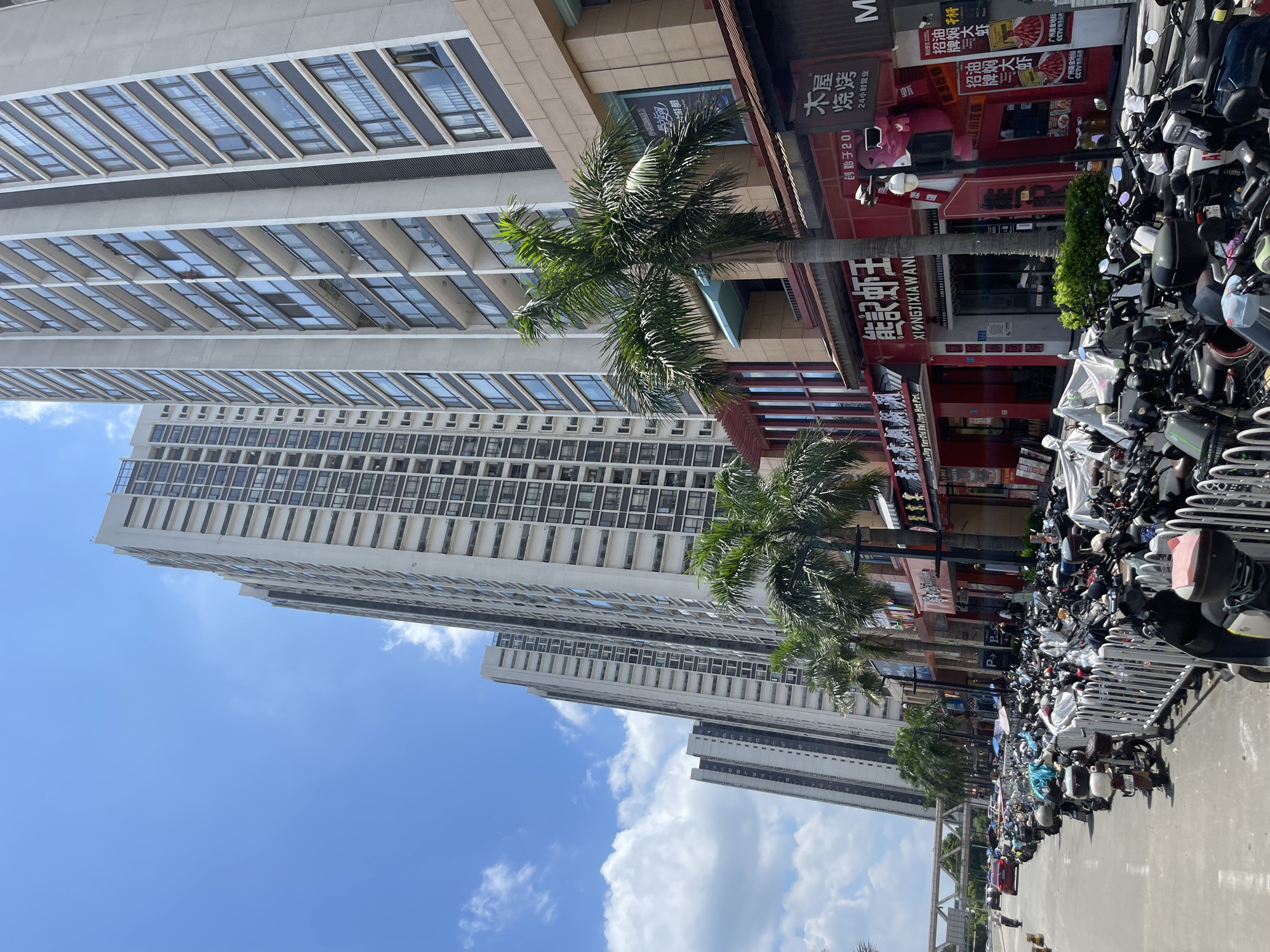 This is a street-level, eye-level, outdoor photograph taken on a sunny day in Panyu District, China. The image captures a row of tall, modern apartment buildings, stretching upwards against a clear blue sky with scattered white clouds. In the foreground, a street is lined with numerous parked motorcycles, most of them covered with white protective sheets. A white metal fence separates the sidewalk from the motorcycle parking area. Along the street, a series of commercial establishments are visible, featuring brightly colored signage, predominantly in red and white, with Chinese characters. Palm trees are interspersed along the sidewalk, providing some shade. In the background, a traffic bridge with a rail system is visible. A few cars are seen on the road, and a lone person is on a motorcycle in the distance. The architecture of the buildings is characterized by repetitive window patterns and balconies. The overall scene depicts a busy urban environment with a strong focus on residential high-rises and street-level commerce.