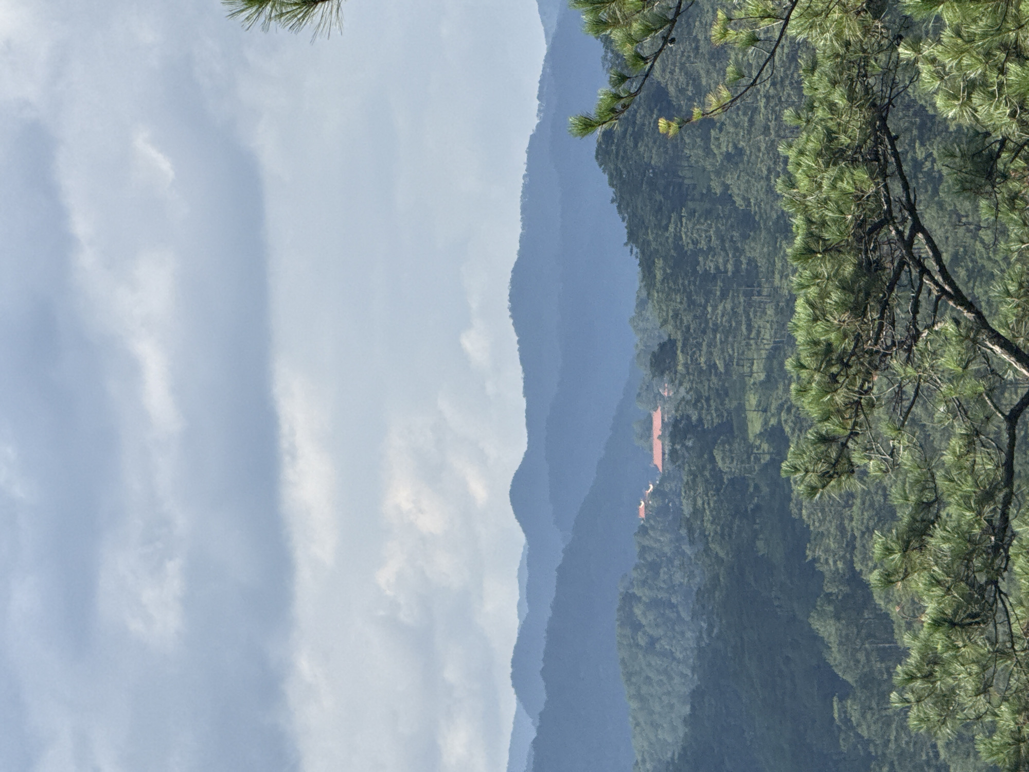 The image displays a panoramic view of a mountainous, forested landscape within the Lam Vien Plateau area of Da Lat, Vietnam. The upper portion of the frame is dominated by an overcast sky with varying shades of light grey and white clouds. Multiple layers of hills and mountains recede into the distance, exhibiting atmospheric perspective with progressively bluer and less defined silhouettes. The middle ground features dense, dark green conifer forests, primarily composed of pine trees, covering the undulating terrain. Within this forested area, a cluster of buildings with distinct red-orange tiled roofs is visible on a mid-ground hillside. The foreground is occupied by the dark branches and vibrant green needles of a pine tree, extending from the bottom and partially obscuring the lower right portion of the scene. No individuals or specific human activities are discernable.