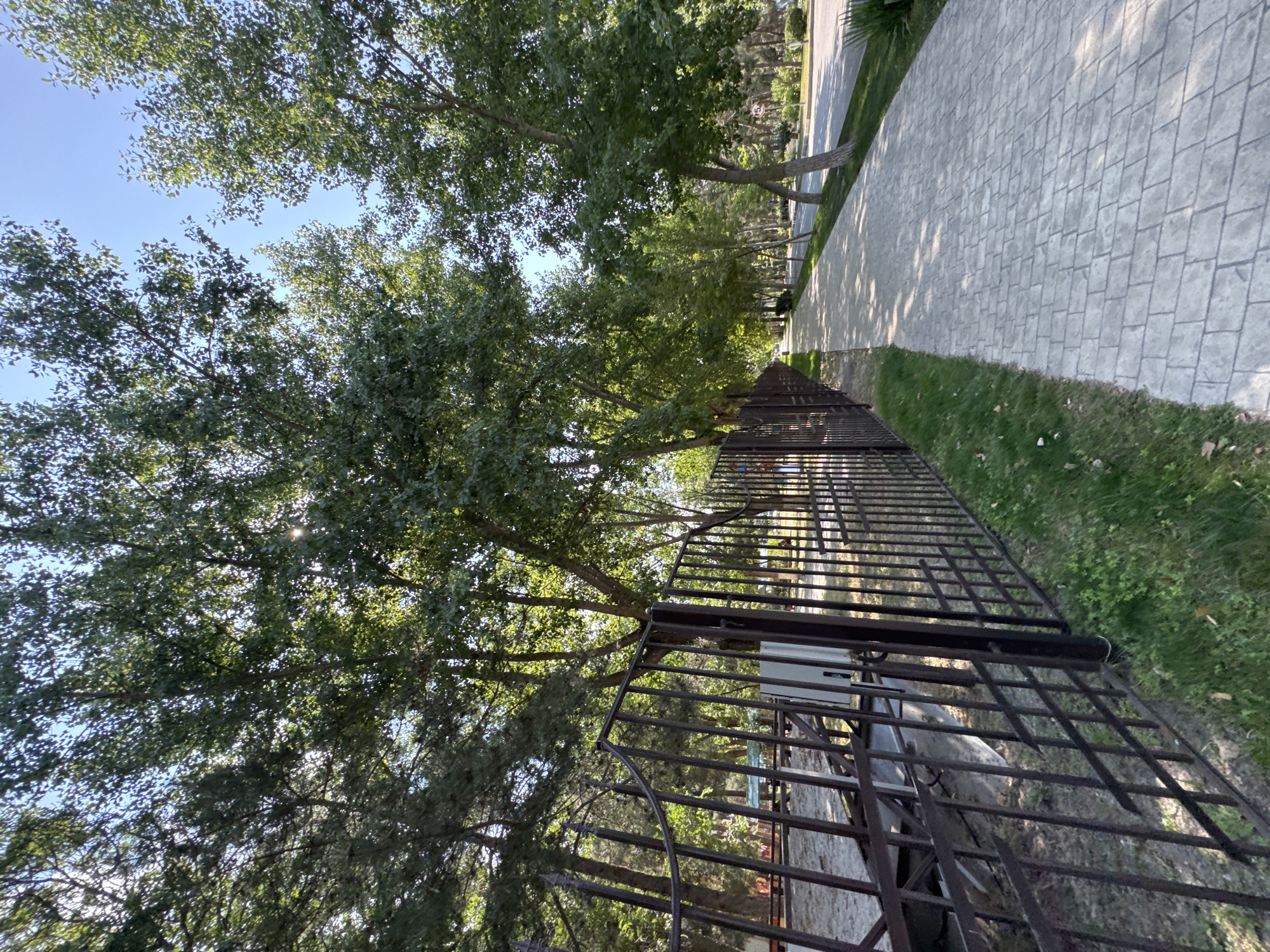 The image depicts a paved walkway alongside a black metal fence on the left and a road on the right. Tall trees with green foliage line the walkway and the road, casting dappled shadows on the ground. The sky is clear and blue. The scene appears to be a park or a street in Vityazevo, Russia, on a sunny day. There are no people or vehicles visible in the immediate foreground. The fence encloses an area that appears to be a construction site or a disused area with some debris visible. The walkway is made of rectangular paving stones laid in a diamond pattern.