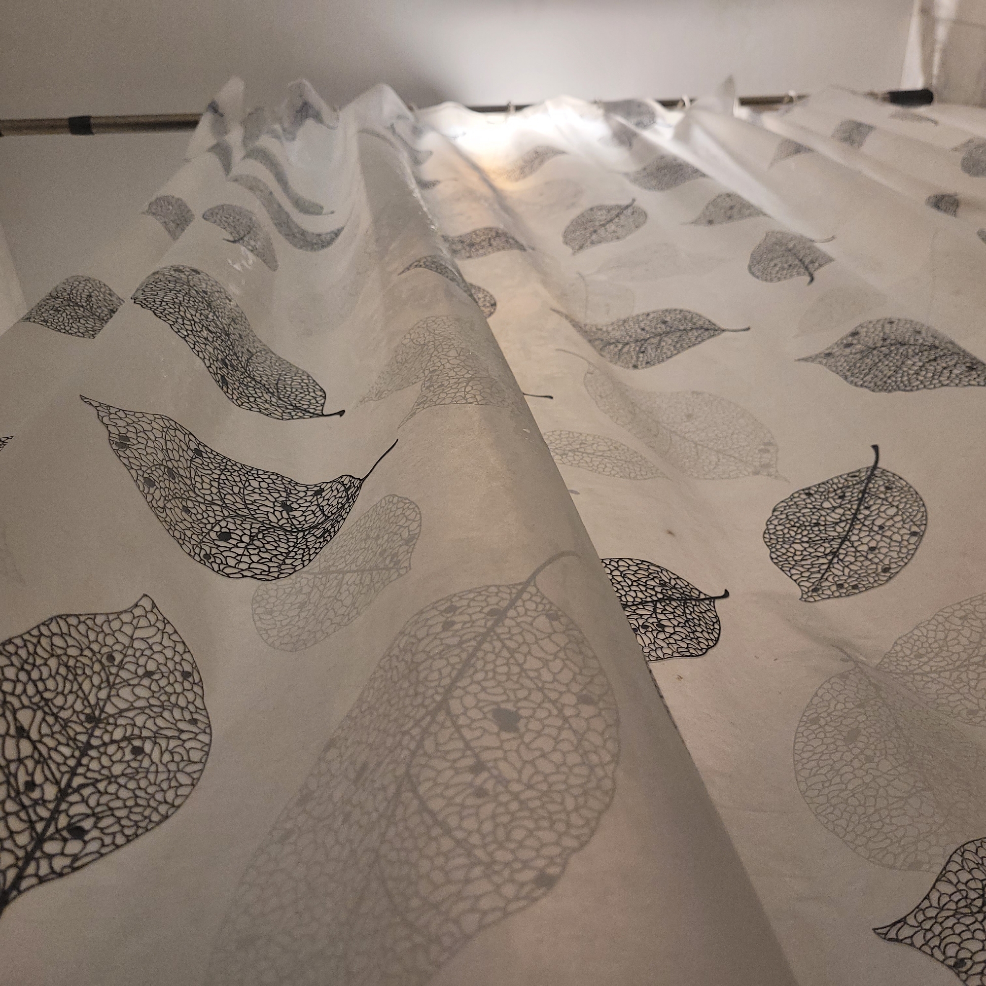 A close-up, low-angle shot shows a white shower curtain with a delicate, black leaf pattern. The curtain is hanging from a metal rod and is slightly rippled, allowing light to filter through in some areas, creating subtle shadows. The leaf pattern features intricate veining, giving the appearance of skeletal leaves. The background is a plain, light-colored ceiling. The scene is indoors, likely a bathroom, and there are no people or other objects visible. The image is in focus and well-lit, emphasizing the texture and design of the shower curtain. There is no specific location in the city of Jūrmala, Latvia indicated in the image.