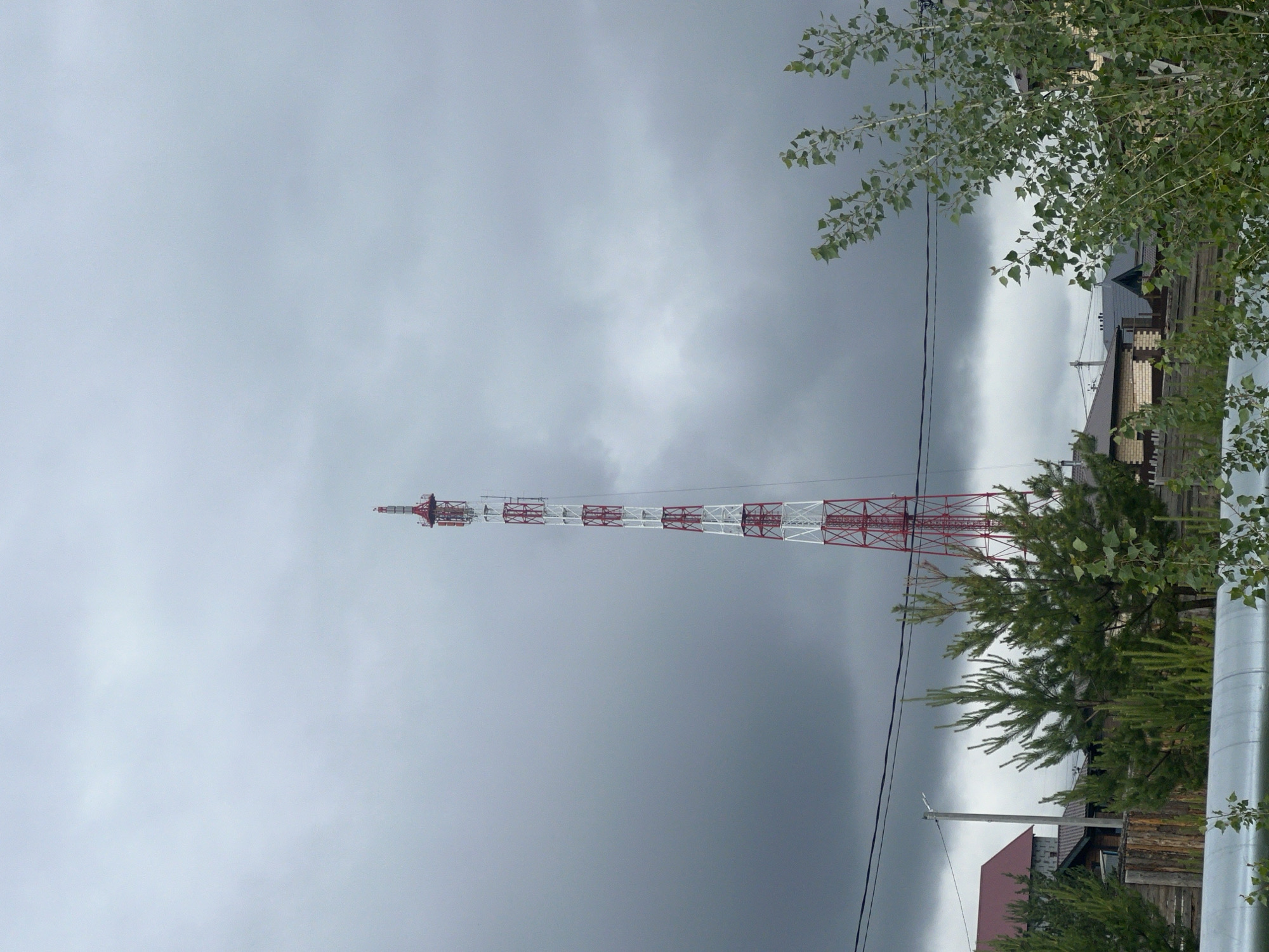 This image captures a tall, red and white lattice telecommunications tower positioned centrally against a heavily overcast, dark grey sky in the city of Chaikovsky, Russia. The tower is constructed from alternating red and white segments, indicating aviation obstruction marking, and features multiple antenna arrays at its upper sections.
In the mid-ground, a residential area is visible. On the left, a house with a prominent red-pitched roof and visible wall construction is partially obscured by several dense green pine trees. To the right of these pines, a utility pole supports power lines that extend horizontally across the scene. Further to the right, a series of houses with varying roof colors (dark brown, grey) are visible through scattered deciduous trees with light green leaves, possibly birch or aspen, which also occupy the far right of the frame.
The immediate foreground features a large, insulated silver-colored pipe running horizontally across the bottom of the image, partially surrounded by sparse green foliage. No people, animals, or specific actions are discernible within the frame.