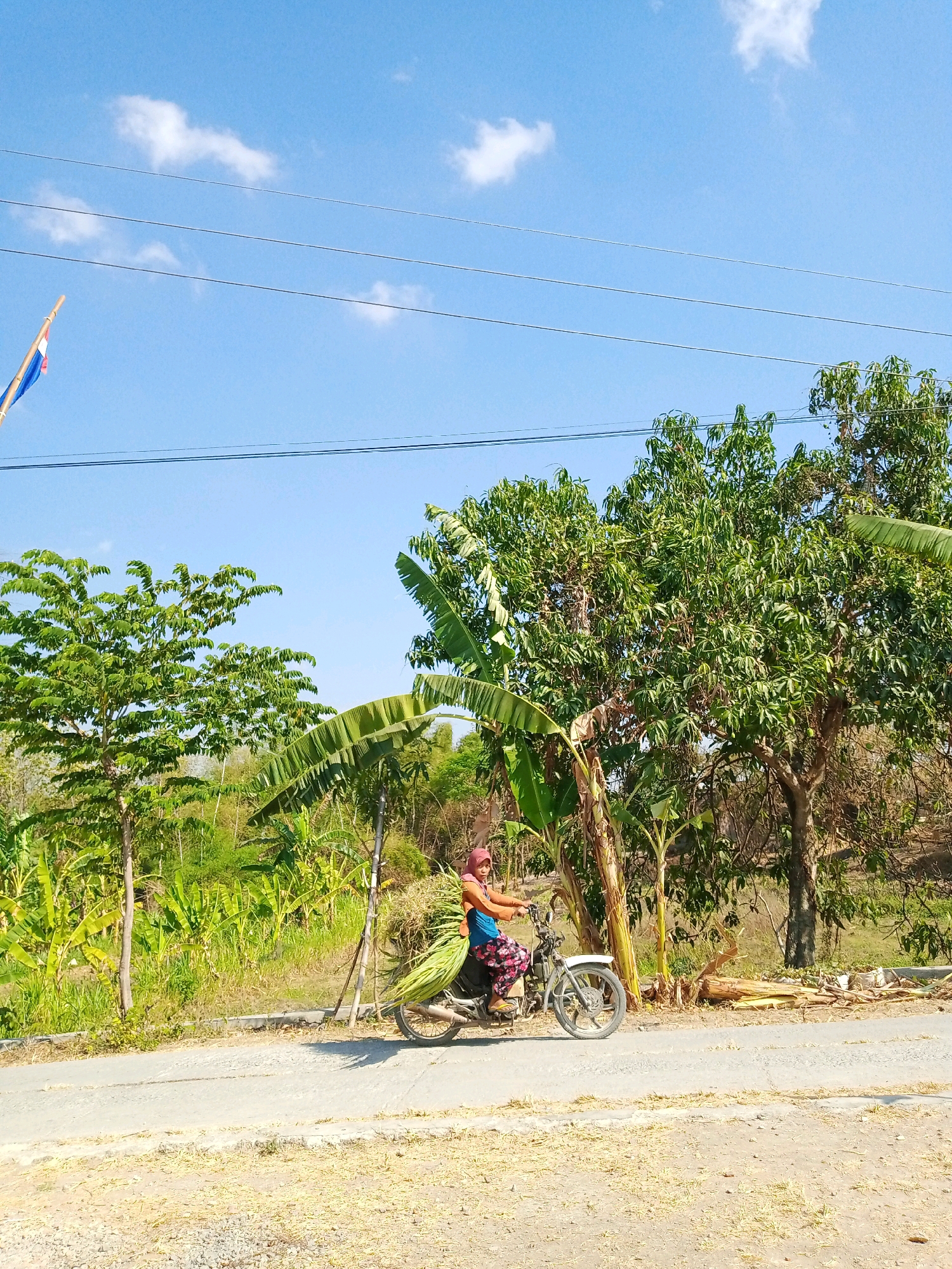 A person wearing a headscarf and a colorful skirt is riding a motorcycle loaded with vegetation along a paved road in Kemiri, Indonesia. The person is carrying a large bunch of green foliage strapped to the back of the motorcycle. The surrounding environment is lush and green with trees and banana plants. A flag is visible in the upper left corner, and power lines are strung across the bright blue sky. The road appears to be in a rural or semi-rural area, with dry grass and dirt on the sides.