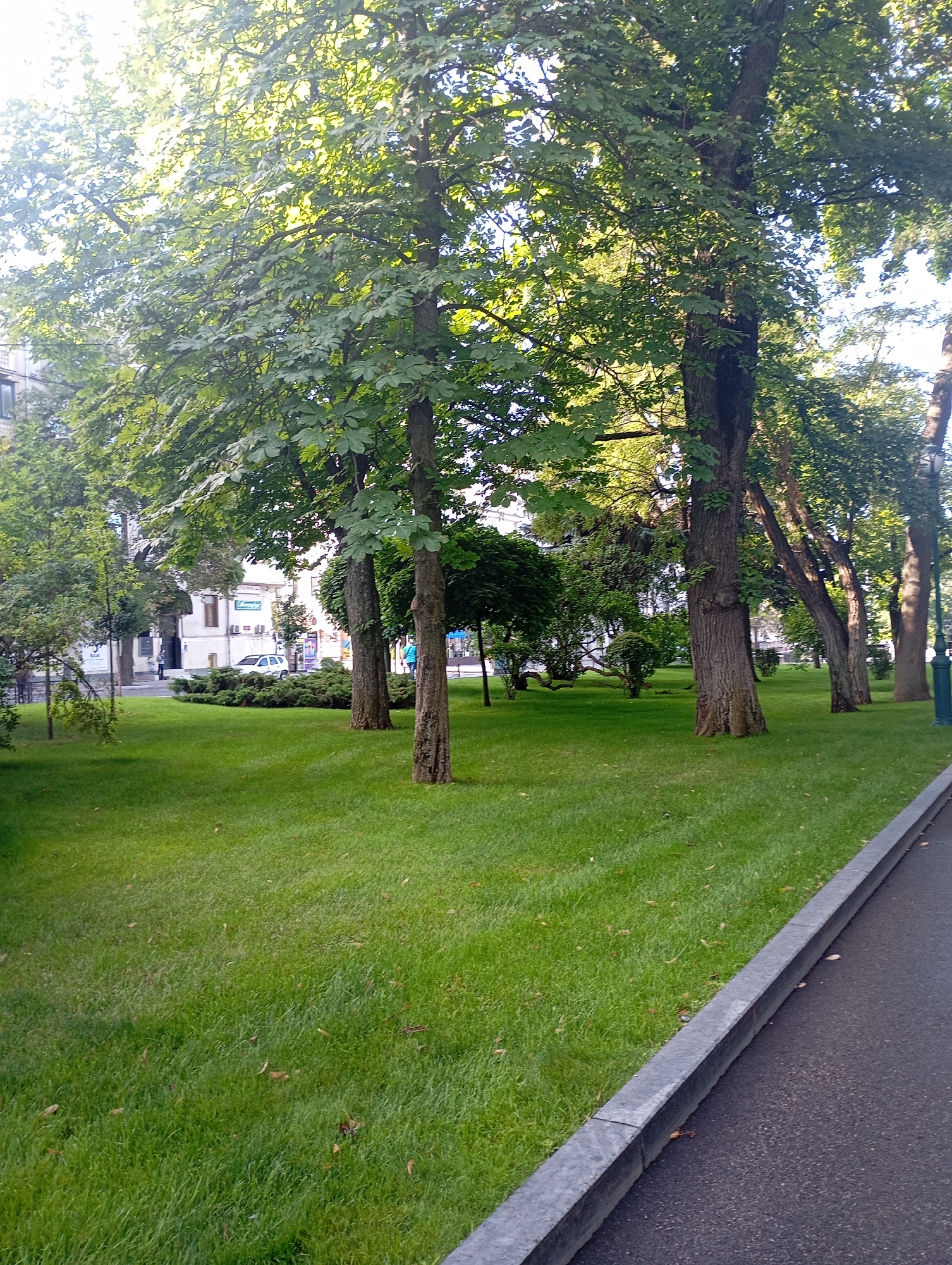 The image depicts a well-maintained green lawn with several mature trees, suggesting a park or a public garden setting within the city of Kharkiv, Ukraine. The trees are leafy and provide ample shade, with some sunlight filtering through their canopies. In the background, a multi-story building with an off-white facade is visible, along with a white car parked on a street. Several people are present in the scene, including individuals walking on the sidewalk and near the building. The foreground shows a paved surface, possibly a sidewalk or a road, bordered by a stone curb and the grassy area. The overall impression is one of an urban green space, likely a pleasant area for recreation or a stroll.
