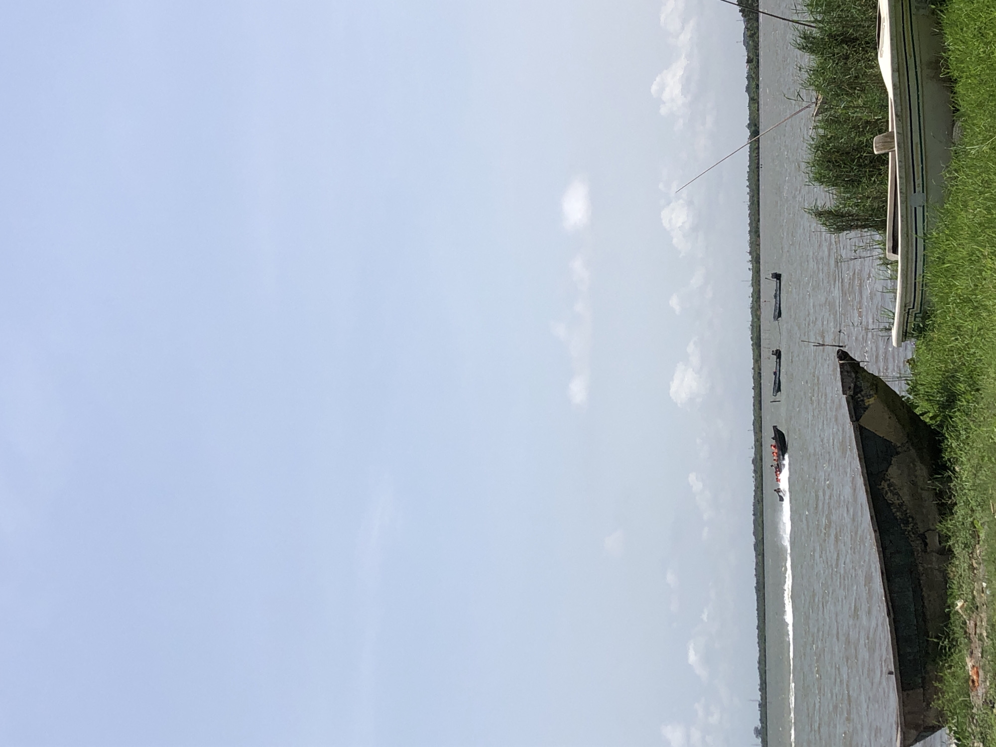 A landscape photograph shows a body of water with boats, tall reeds, and green grass at the shoreline on a cloudy day. A long white boat rests near the edge of the water, and a dark-colored boat is pulled up along the shore at the lower right. Further into the scene, a speedboat travels on the water, leaving a long white wake behind it. Other boats are visible in the distance. The location is Unknown, Unknown.