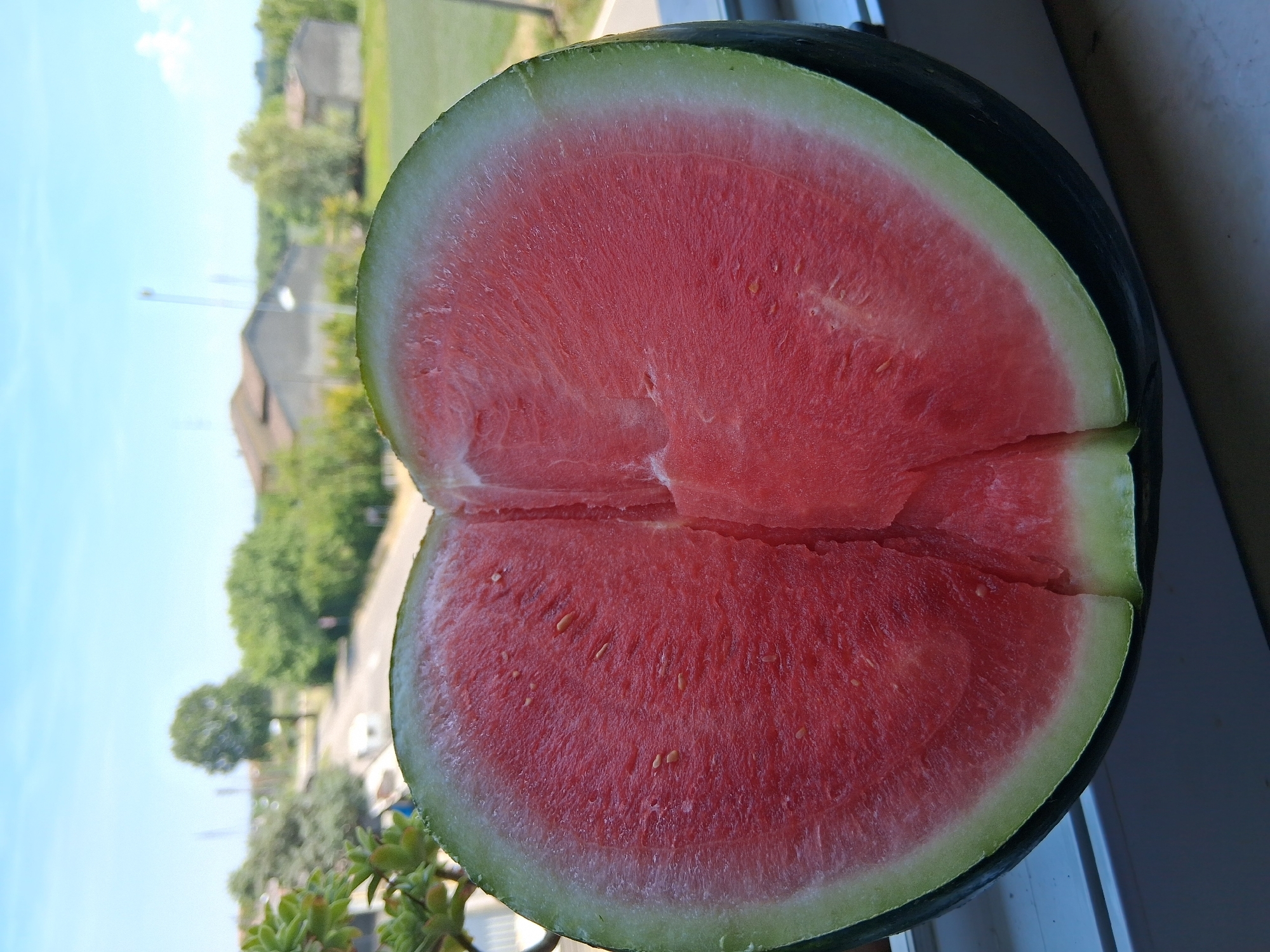 A close-up, eye-level, medium shot features a halved watermelon placed on a windowsill, with the flesh of the fruit filling the foreground and middle ground. The watermelon is cut lengthwise, revealing its vibrant red, juicy interior dotted with small, dark seeds. The rind is dark green with a lighter green stripe. In the background, the scene transitions to an outdoor view. A blurry landscape is visible, showing a road, trees, buildings, and a bright blue sky. The location is identified as Colorno, Italy, suggesting a domestic or outdoor setting within the city. The overall impression is one of summer freshness and natural abundance, with the watermelon serving as the focal point against a softly rendered backdrop.