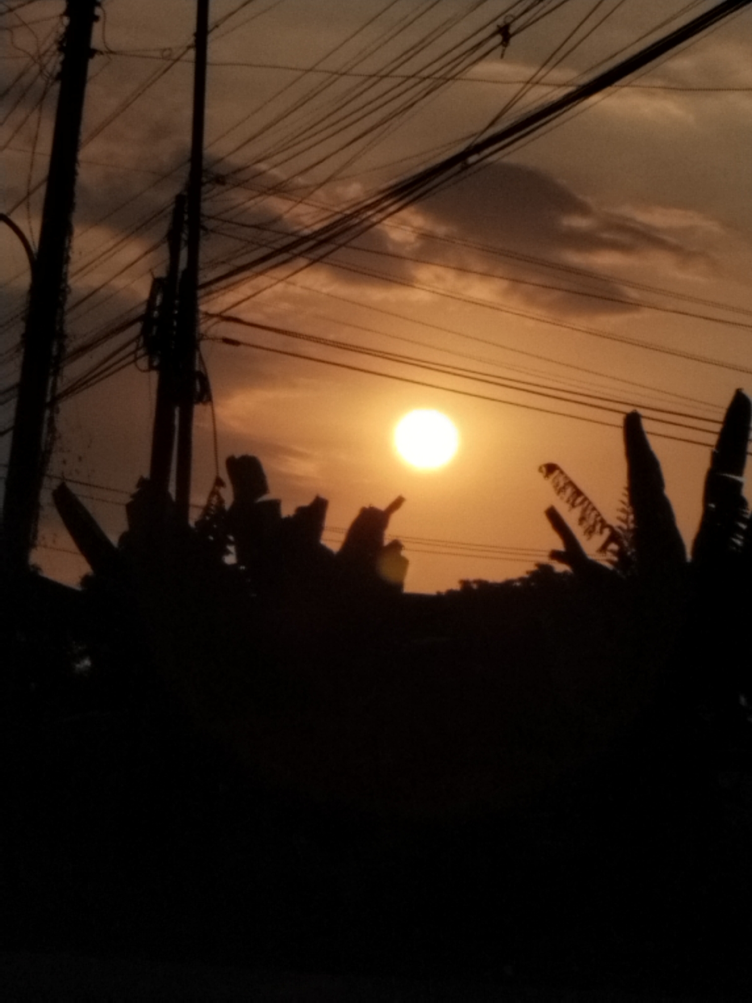 A silhouette of electrical poles and wires crisscross the sky above a dark foreground of foliage. The setting sun, a bright orb, is positioned in the upper right quadrant of the image, casting a warm orange glow across the sky. The clouds are sparse and wispy, with some appearing darker and more defined, possibly indicating shadows or varied cloud density. The foreground is almost entirely black, obscuring any details of the vegetation or ground below. The overall impression is one of a dusky, urban landscape bathed in the twilight of sunset.