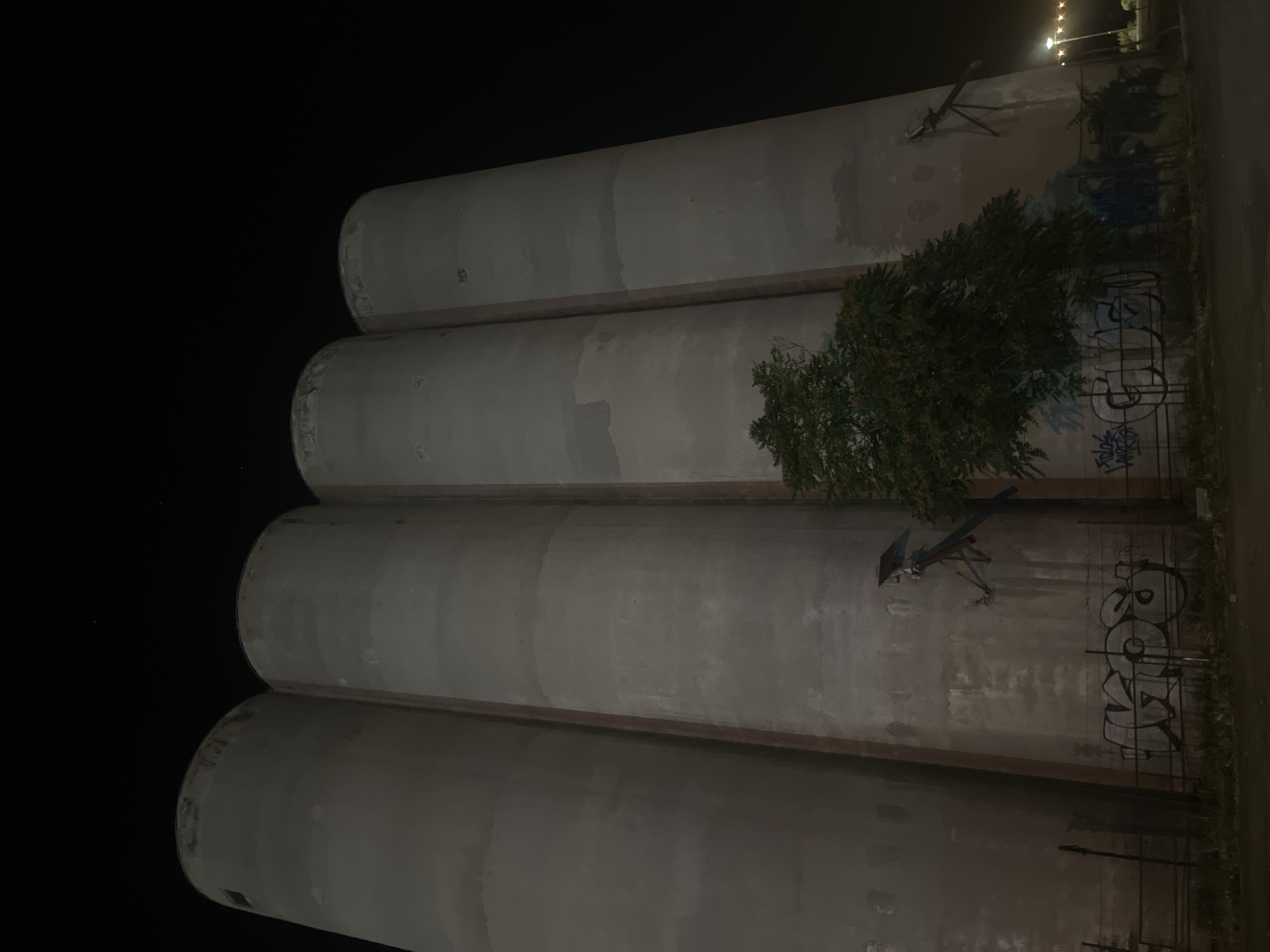 The image depicts a nighttime view of four tall, cylindrical concrete silos. The silos are arranged in a row and appear to be weathered, with some patches of discoloration and graffiti visible on their surfaces. A large tree with green foliage is situated in front of the silos, casting shadows. In the foreground, there is a fence with barbed wire, and more graffiti adorns the base of the silos. In the background, a street with lampposts and lights can be seen, suggesting an urban environment. The sky is dark and clear, with a few faint stars visible. The overall impression is one of an abandoned or disused industrial site. Based on the context, this location is identified as the former industrial silos in Belgrade, Serbia.