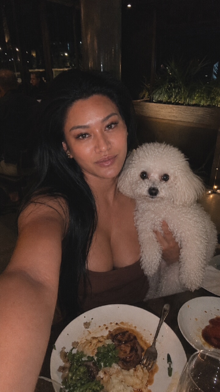 A woman with long dark hair is taking a selfie indoors with a small white poodle in her arms. She is wearing a brown top. In front of her is a plate of food, possibly steak and mashed potatoes with green vegetables. A fork rests on the plate. Another plate with food is visible to the right, along with a wine glass. The background is dark, with hints of city lights and greenery, suggesting a restaurant setting. The image is taken at night. The location is not specified to be in Moscow, Russia.