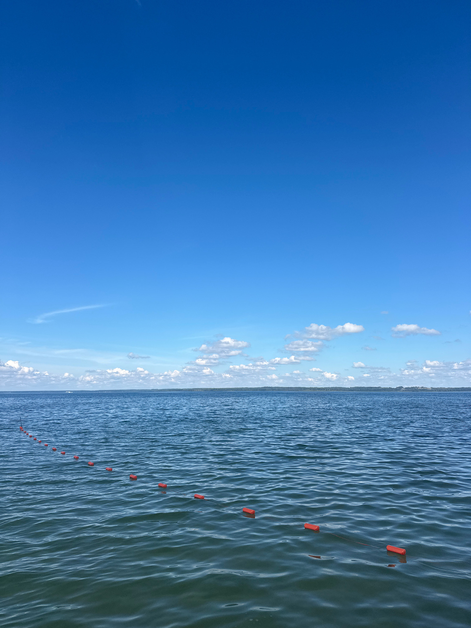 An outdoor, eye-level, medium shot captures a wide expanse of deep blue water under a bright, clear blue sky dotted with scattered white clouds. The water is calm with gentle ripples. In the foreground, a line of small, orange rectangular buoys stretches diagonally across the frame from the lower left to the middle right, marking an area in the water. A thin rope connects the buoys. The horizon line is visible in the distance, separating the water from a faint, tree-lined shore under the sky. No people are present in the image. The scene appears to be a body of water in or near Мядзельскі сельскі Савет, Belarus, likely a lake or reservoir on a clear, sunny day.