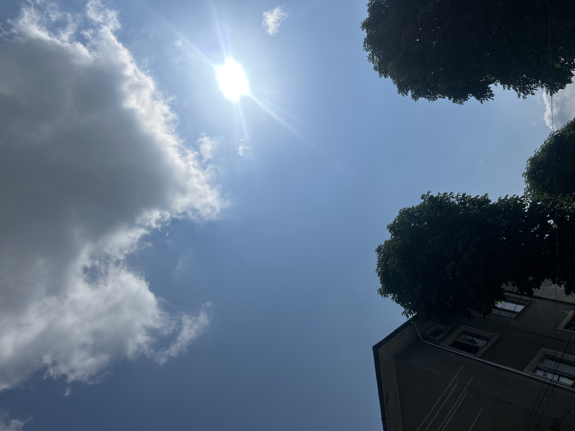 The image presents a bright, sunny sky viewed from a low-angle perspective, looking upwards. The sun, a brilliant white sphere emitting strong rays and lens flare, is prominently positioned in the upper-left quadrant of the frame. The sky is predominantly a clear, light blue, transitioning to a deeper hue away from the sun. Large, dark grey clouds, accompanied by smaller white cumulus clouds, occupy the left side of the image, contrasting with the blue sky. A tiny, dark, unidentifiable speck is visible near the edge of one of the large clouds, possibly a bird.
Dark green tree canopies, appearing as dense, silhouetted foliage, frame the upper-right and lower-right corners of the image. Below the lower-right tree, the upper portion of a multi-story building is visible. It features a grey or tan facade, an angled roofline, and multiple rectangular windows, some showing reflections. Several thin utility wires or cables run diagonally across the lower-right section, in front of the building.
The scene depicts a clear day, likely late morning or early afternoon given the high and intense sunlight. There is no visible human activity or discernible text in the image.