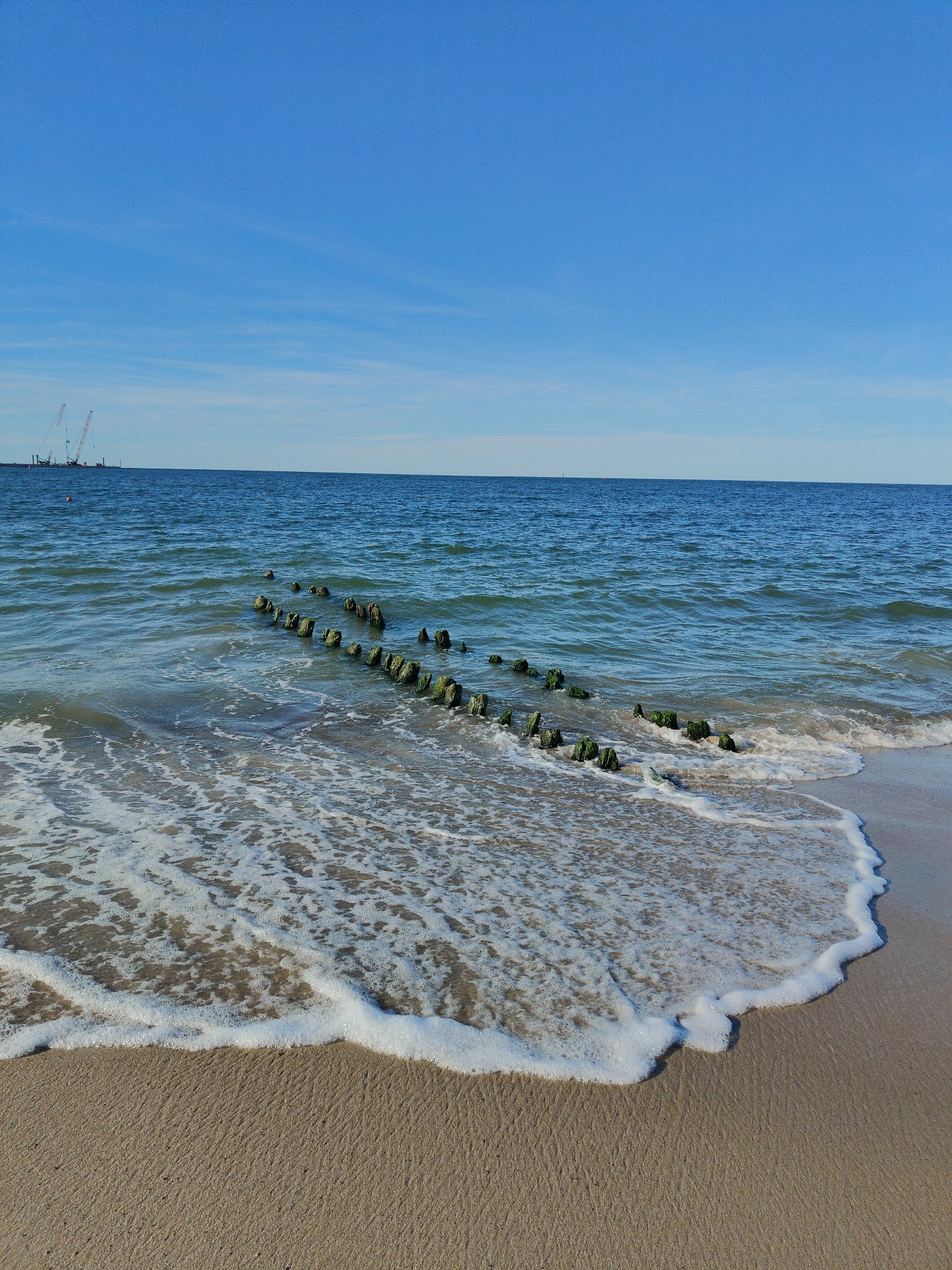 The image shows a beach scene with a calm sea under a clear blue sky. In the foreground, gentle waves lap onto a sandy shore, creating white foam. A line of weathered wooden posts, covered in green algae, protrudes from the shallow water, extending diagonally into the sea. In the distance, on the horizon, construction cranes are visible, suggesting ongoing development or infrastructure work in the vicinity. The overall impression is one of a serene coastal environment with hints of human activity in the background. The location is identified as Pionersky, Russia.