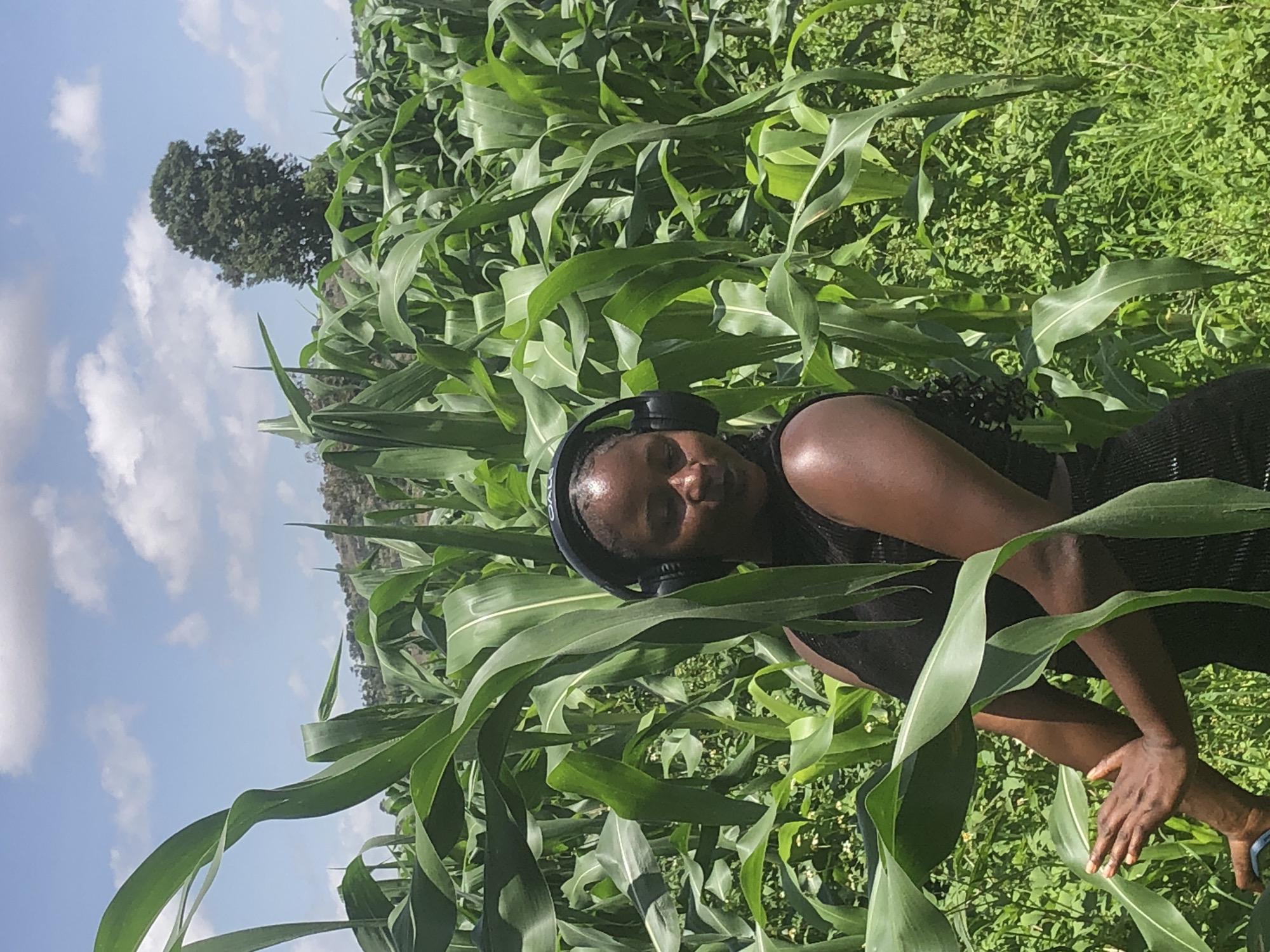 In a rural, outdoor setting in Gwafan, Nigeria, a young Black woman stands amidst a dense cornfield under a partly cloudy blue sky. She is wearing black headphones and a black sleeveless top. Her body is angled slightly to the left, with her arms positioned in front of her. Her left hand is outstretched, palm facing forward, and her right arm is bent at the elbow. The corn stalks, lush and green, tower over her, some leaves curving towards the camera. In the background, a large, mature tree stands prominently, with a gently sloping hill and more trees visible further in the distance. The overall impression is one of a serene, natural environment.