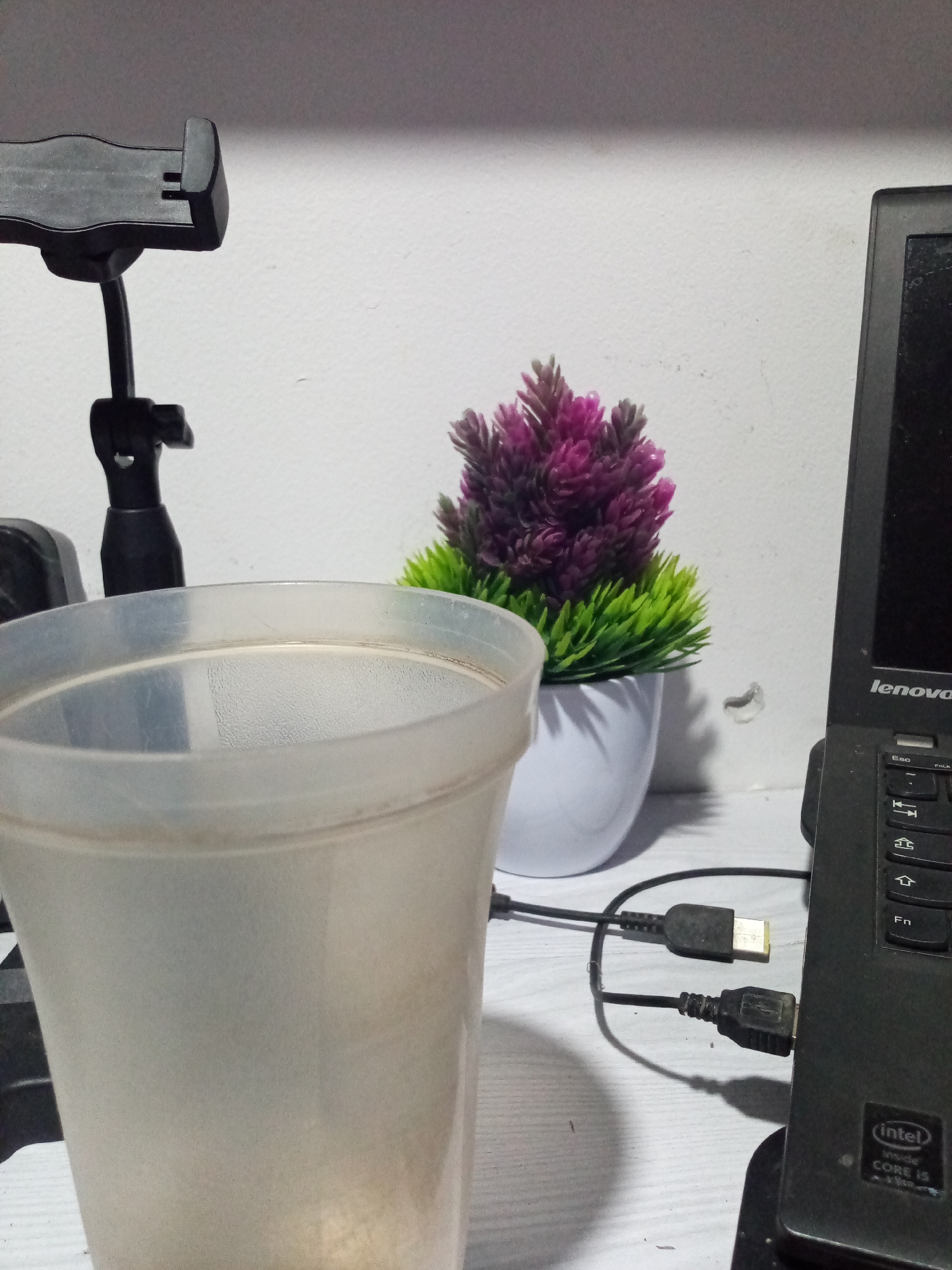 A close-up, eye-level shot focuses on a clear plastic cup partially filled with a light-colored liquid, positioned on a white desk. To the right of the cup is a black laptop, its screen displaying the "Lenovo" logo. Two black USB cables are connected to the laptop; one is plugged into a port, and the other lies nearby. Behind the cup and to the left is a black phone holder. In the background, a small potted plant with purple and green artificial foliage sits on the desk. The wall behind the objects is white and slightly textured. This scene is situated in Cihanjuang, Indonesia.