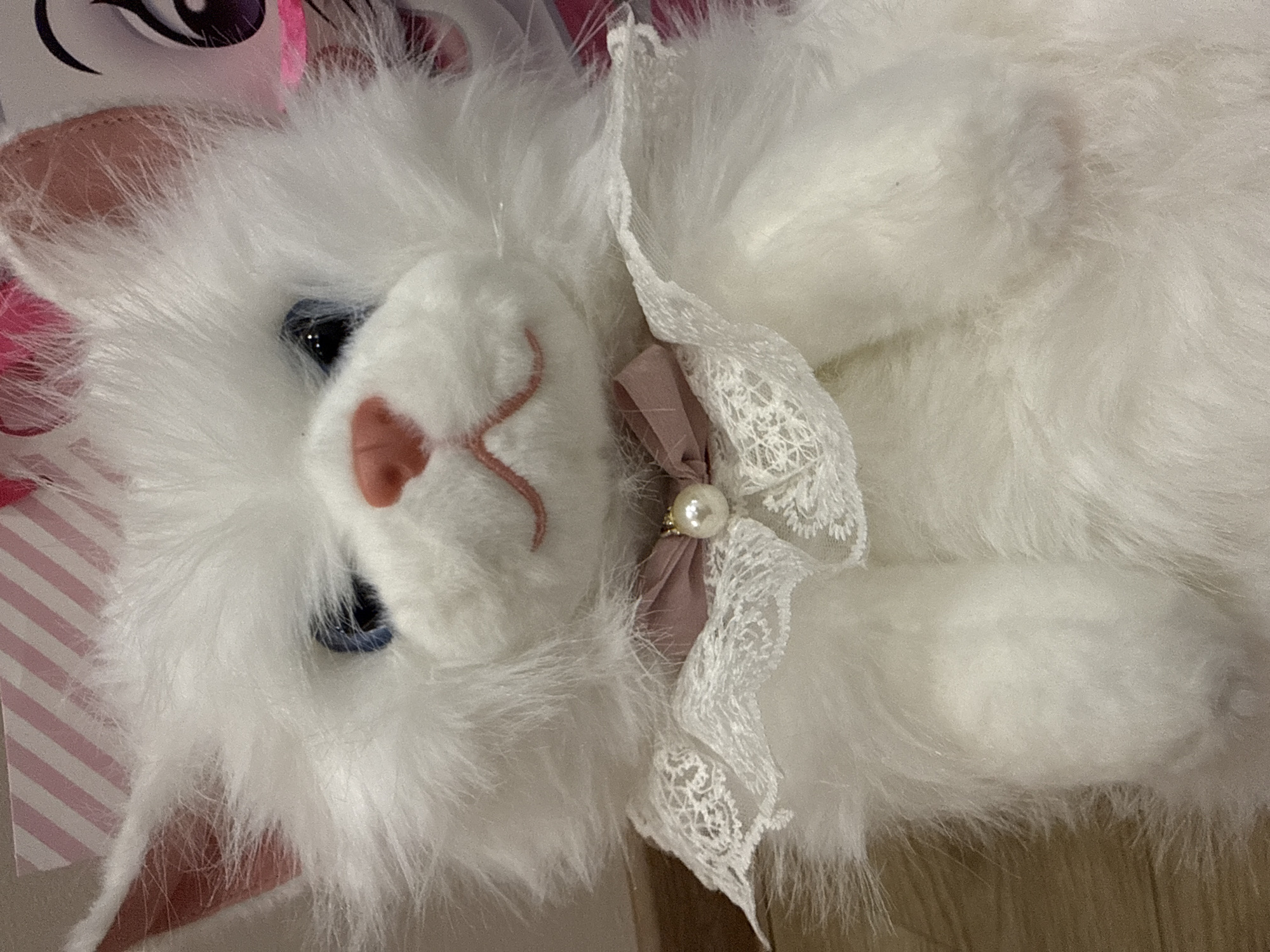 The image shows a close-up of a white, fluffy stuffed cat. The cat has blue eyes, a pink nose, and a pink mouth. It is wearing a white lace collar with a pink bow and a pearl accent. The background is out of focus, but appears to be pink and white striped paper and a colorful cartoon image. There is no visible indication of the city of Sochi, Russia.