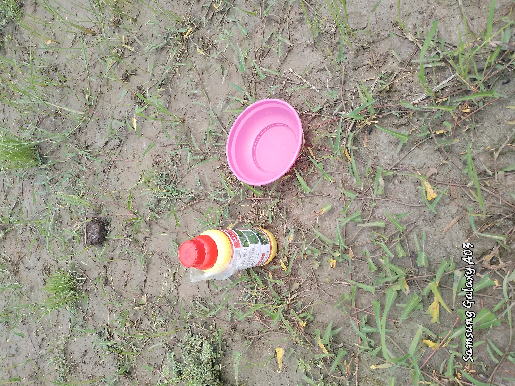 A yellow bottle with a red cap, a plastic bag, and a pink bowl are situated on muddy ground interspersed with green grass and some brown debris. The bottle, labeled "GLYPHosate," has a white label with text and an image of grass. A plastic bag is partially wrapped around the neck of the bottle. The pink bowl, a shallow dish, is to the right of the bottle. The ground is uneven and appears wet, with blades of grass growing sparsely. In the upper left corner of the image, there is a small cluster of green leafy plants. The background shows more of the muddy ground and vegetation. The bottom left corner of the image contains a watermark reading "Samsung Galaxy A03". The scene appears to be outdoors, possibly in a rural or semi-rural setting. There is no indication of human presence or any specific location within Angwan Hausawa, Nigeria.