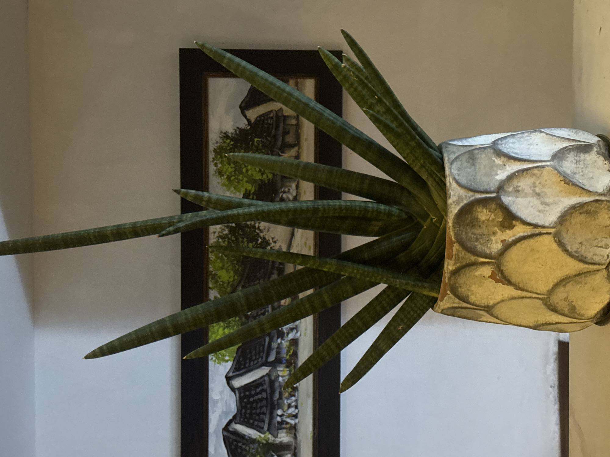 The image depicts a cylindrical potted plant with long, pointed green leaves arranged in a starburst pattern. The pot has a textured surface with raised, scale-like patterns and appears to be made of aged ceramic or concrete. In the background, a framed painting of a village scene with traditional houses and people is visible against a plain wall. The overall setting suggests an indoor environment. The location provided, "city of Bac Nha Trang Ward, Vietnam," cannot be verified from the visual elements of the image.