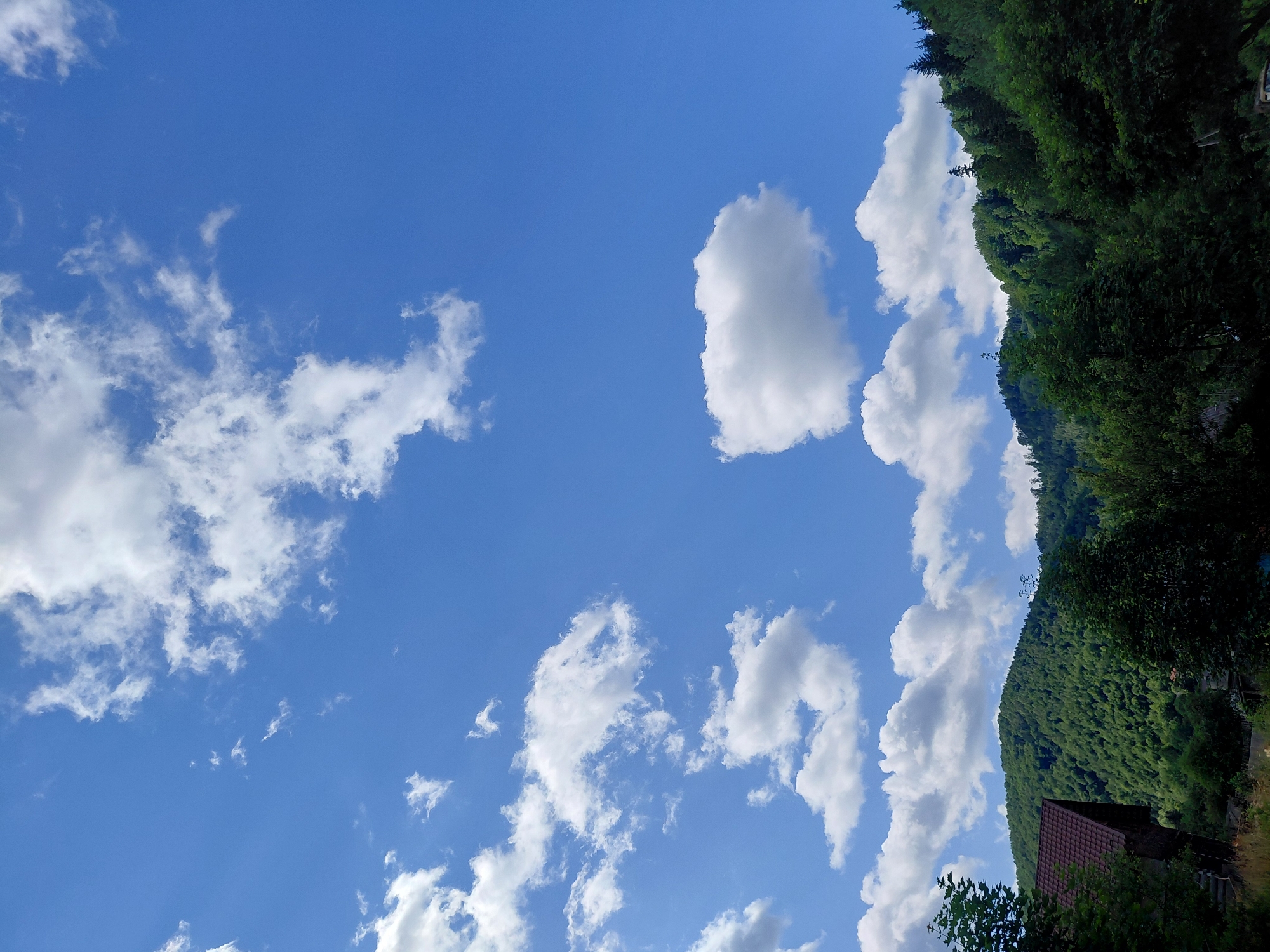 A vertical, eye-level, full shot captures a bright, partly cloudy sky over a densely forested mountainside. The sky is a vibrant blue, dotted with numerous white cumulus clouds. The foreground features a portion of a dark-wooded building with a reddish-brown tiled roof, partially obscured by dark green foliage. To the right, a steep mountainside covered in lush green trees dominates the middle ground and extends to the horizon. The overall scene depicts a natural, rural landscape.