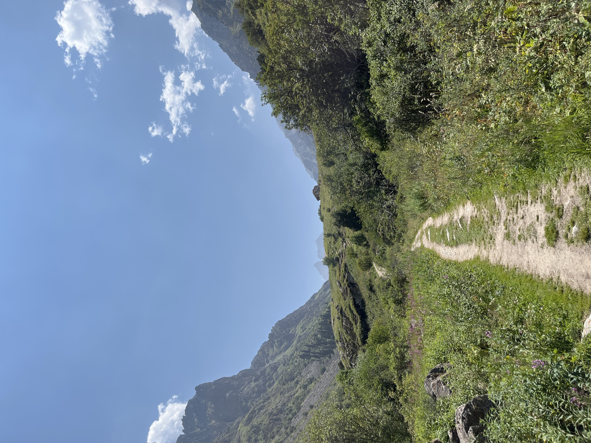 A dirt path winds through a lush green mountain valley under a clear blue sky dotted with white clouds. The path is flanked by dense vegetation, including tall grasses and bushes, with some wildflowers visible. On either side of the valley, steep, rocky mountains rise, covered in patches of green foliage. In the distance, the path continues to ascend, leading towards more mountains. A small, rustic structure, possibly a hut, is visible on a distant hillside. The overall scene suggests a remote, natural environment in Kyrgyzstan.