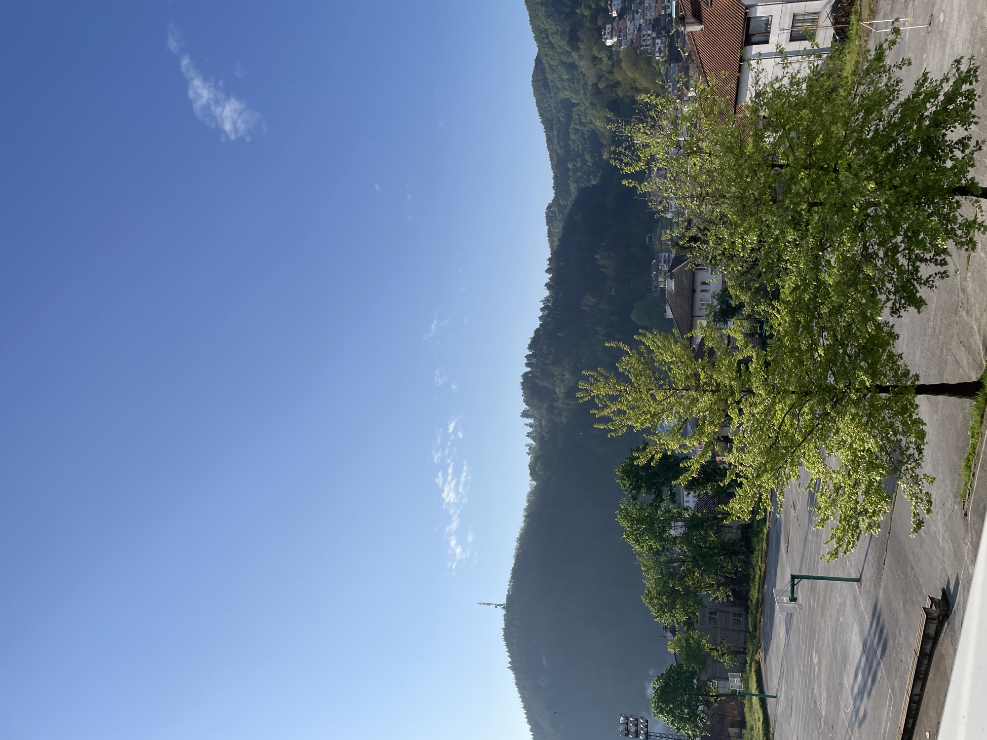 The image depicts a view from an elevated position overlooking a landscape in Zlatograd, Bulgaria. In the foreground, a tree with bright green foliage is present. Adjacent to the tree is a paved area that includes a basketball court. Beyond the foreground, a tree-covered mountain rises, with houses and buildings nestled into the hillside and along the top of the mountain. A communications tower is visible on the mountain. The sky is clear and blue with a few small clouds.