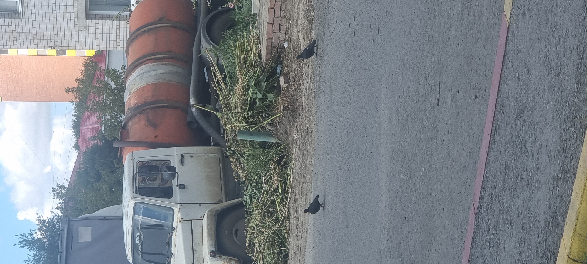 A white truck with an orange cylindrical tank is parked on a dirt area next to a paved road. The truck appears to be a sewage or vacuum truck, indicated by the large tank and a black hose extending from it. The front of the truck is visible, showing a white cab with a dirty windshield. The area around the truck is covered in weeds and debris. Two pigeons are walking on the paved road in front of the truck. In the background, there are residential buildings and trees. The sky is cloudy. The scene is likely in Aktobe, Kazakhstan, given the presence of residential buildings typical of the region and the overcast sky.