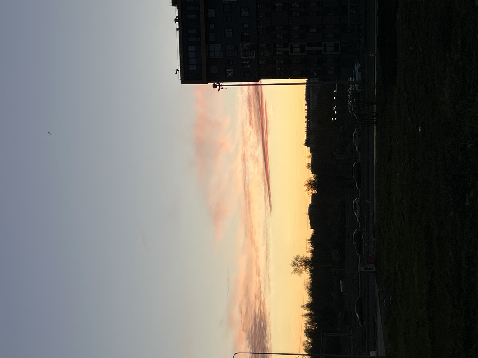 The image shows a sunset in an urban area of St. Petersburg, Russia. The sky is a gradient of light blue to yellow, with pink-tinged clouds near the horizon. The silhouette of a tall building can be seen on the left. A row of trees and parked cars line a road, and a patch of grass is on the right side of the image. A street lamp is visible in the foreground. A small bird is flying in the sky.