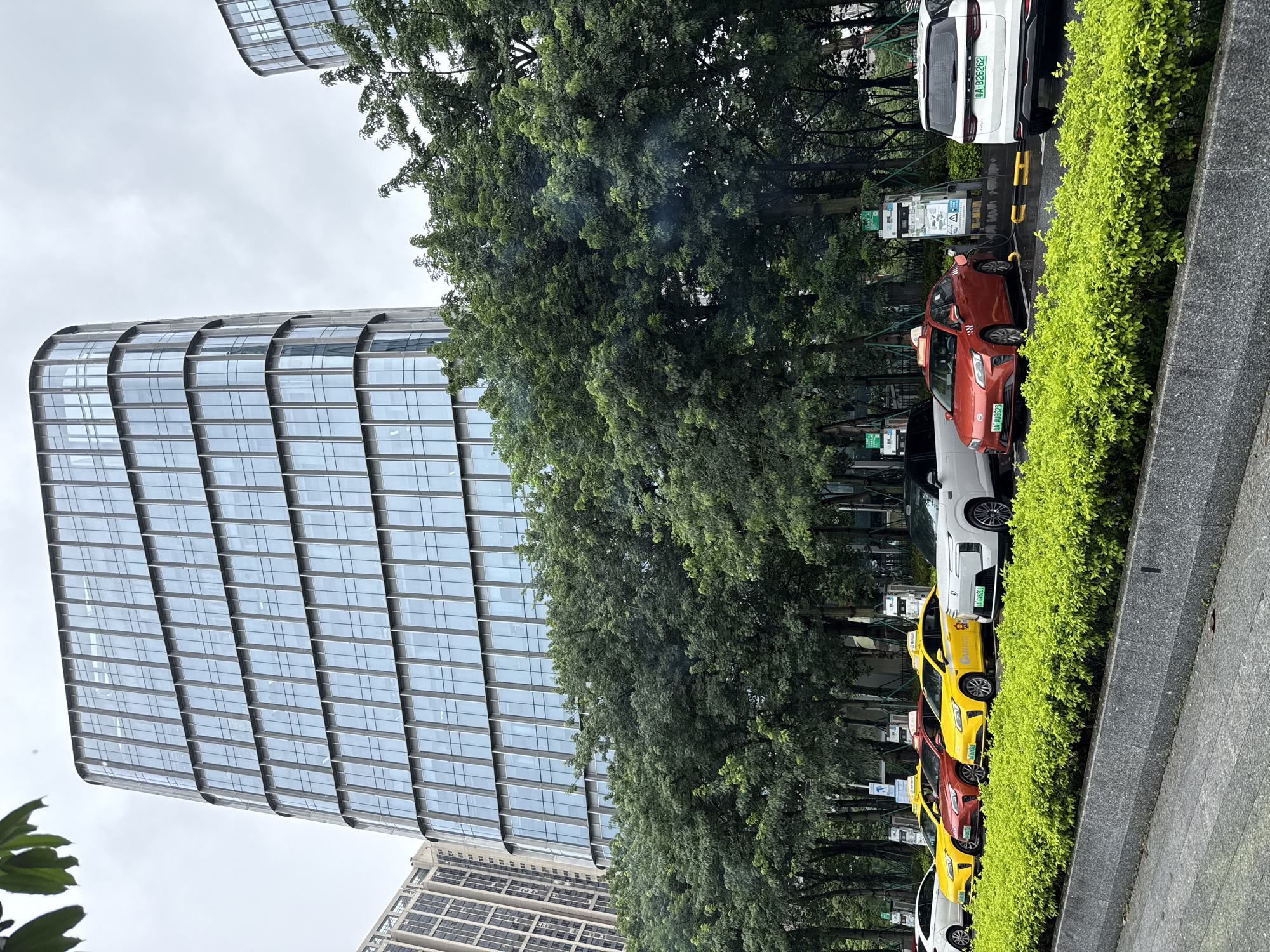 A row of taxis, predominantly yellow and red, are parked in a line along a street next to a lush green hedge and a building with a glass facade. The taxis appear to be electric vehicles, as charging stations are visible behind them. The building is modern with a curved, multi-story design. Large green trees line the street, casting shadows and adding to the urban greenery. The sky is overcast, suggesting a cloudy day. The scene is set in Haizhu District, China. Some of the visible license plates include "粤B26262" and "粤A08623".