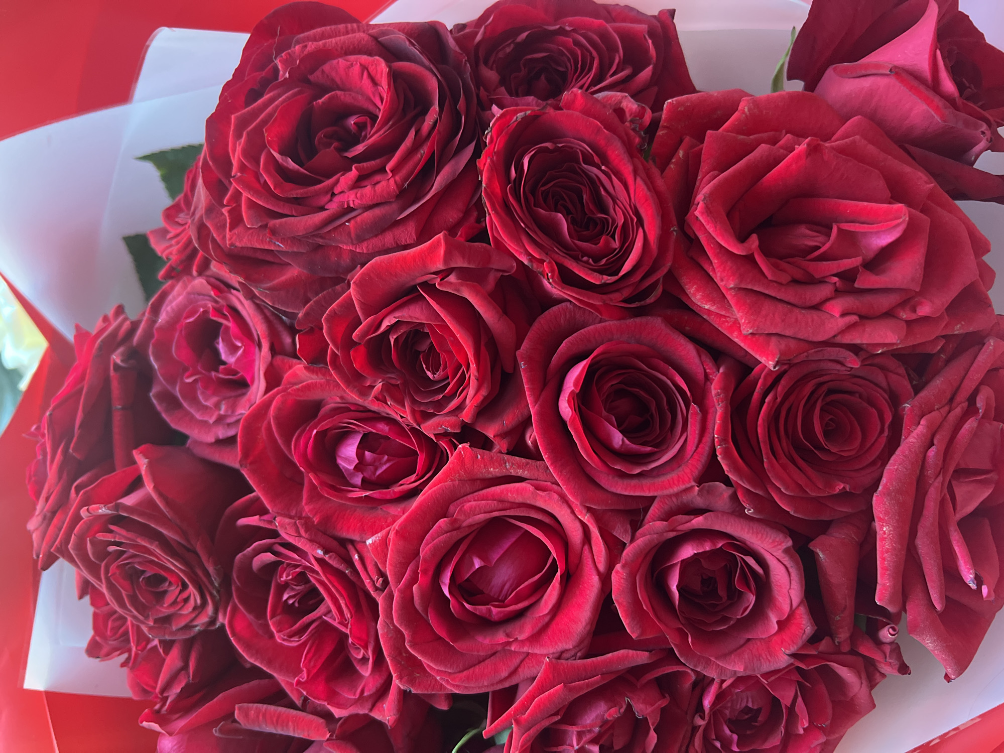 A bouquet of deep red roses is presented, wrapped in white and red paper. The roses are in various stages of bloom, with some tightly furled and others more open, revealing their layered petals. The lighting is soft, creating subtle shadows that highlight the texture of the rose petals. The background is blurred, but hints of red wrapping and white paper suggest a gift presentation. There are no people visible in the image, and the setting appears to be indoors. The origin of this image, or its connection to Votkinsk, Russia, cannot be determined from the visual information alone.