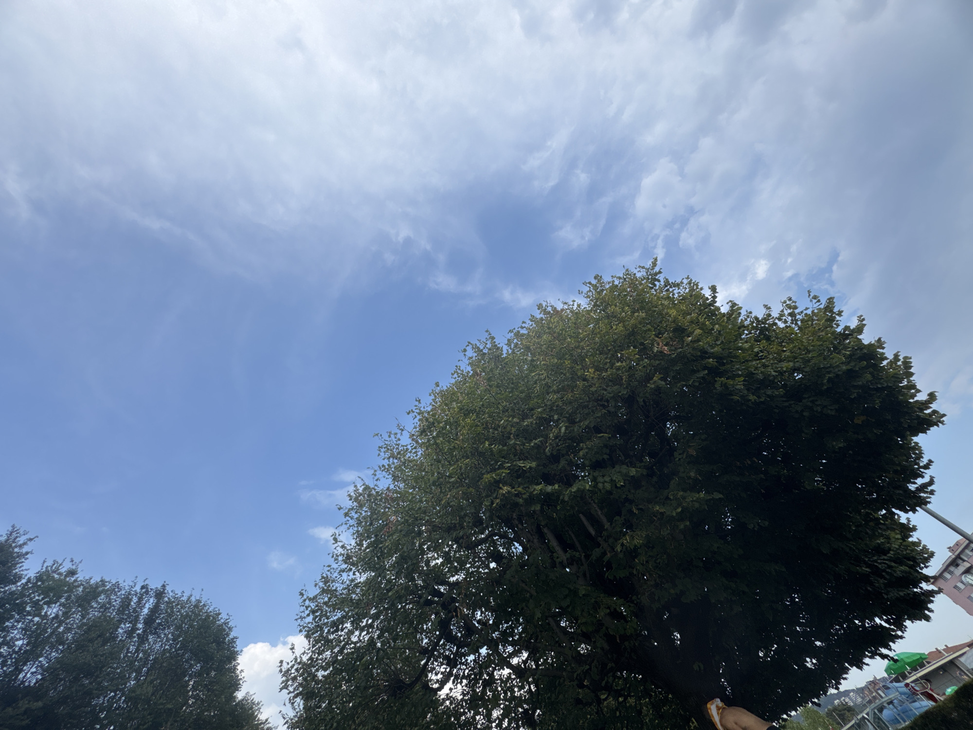 A low-angle shot shows the lush green foliage of a large tree against a backdrop of a bright blue sky with wispy white clouds. The tree occupies the left and bottom portions of the frame, its dense leaves obscuring much of the lower sky. In the distance, hints of buildings and street-level activity are visible beneath the tree canopy, suggesting an urban or suburban environment. The overall impression is one of nature meeting urban infrastructure under a partly cloudy sky. The location is identified as Chiasso, Switzerland.
