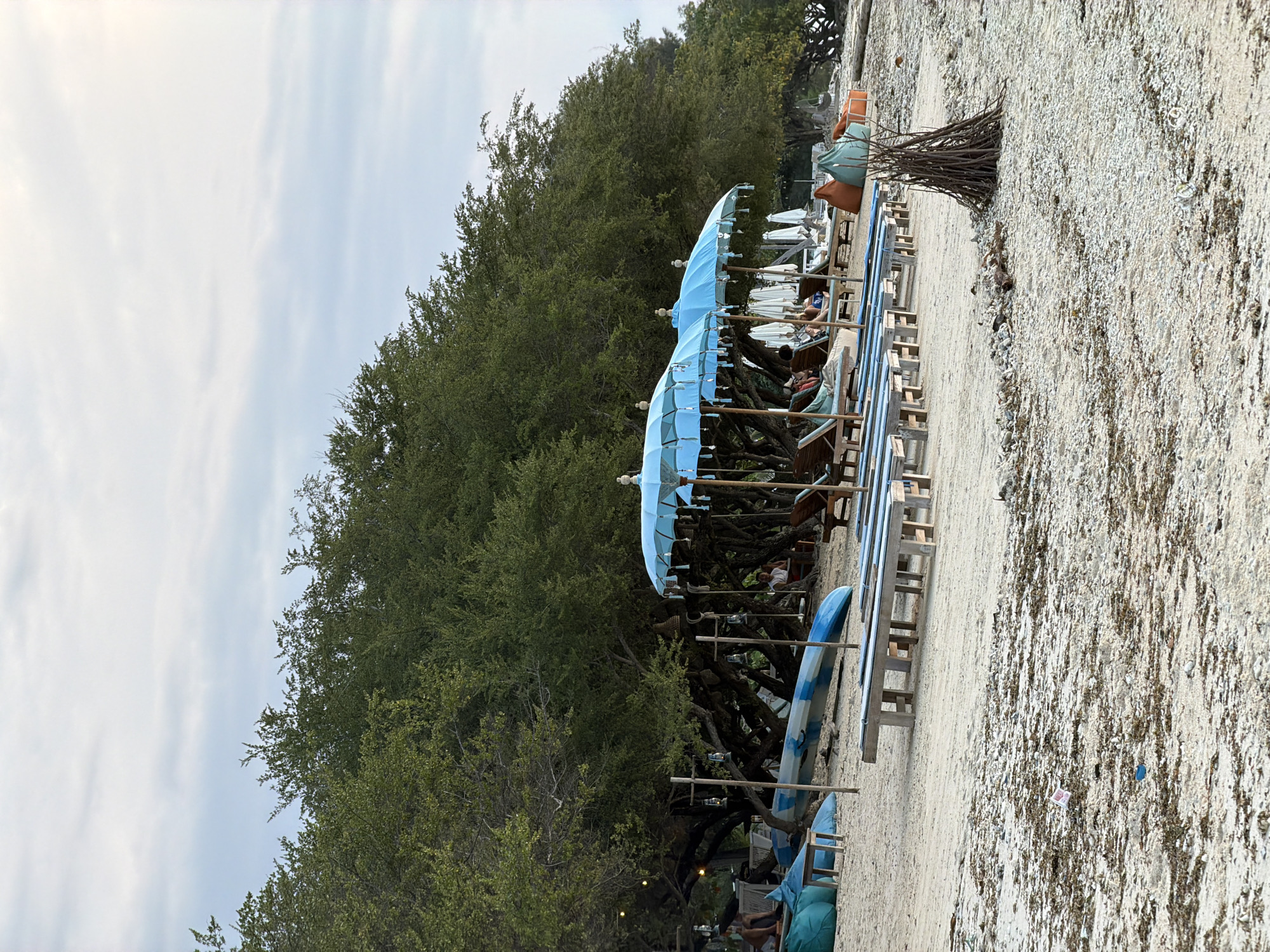 The image depicts a serene beach scene in Unknown, Indonesia, with a row of sun loungers and blue umbrellas set up on the sand. Lush green trees form a dense canopy along the treeline, providing shade. In the foreground, a pile of driftwood stands prominently on the beach. The sand is scattered with small shells and debris. The sky above is a pale blue with scattered clouds. A kayak is visible behind the sun loungers, and a few people are seated and relaxing under the trees and umbrellas. The overall atmosphere is one of tranquility and relaxation.