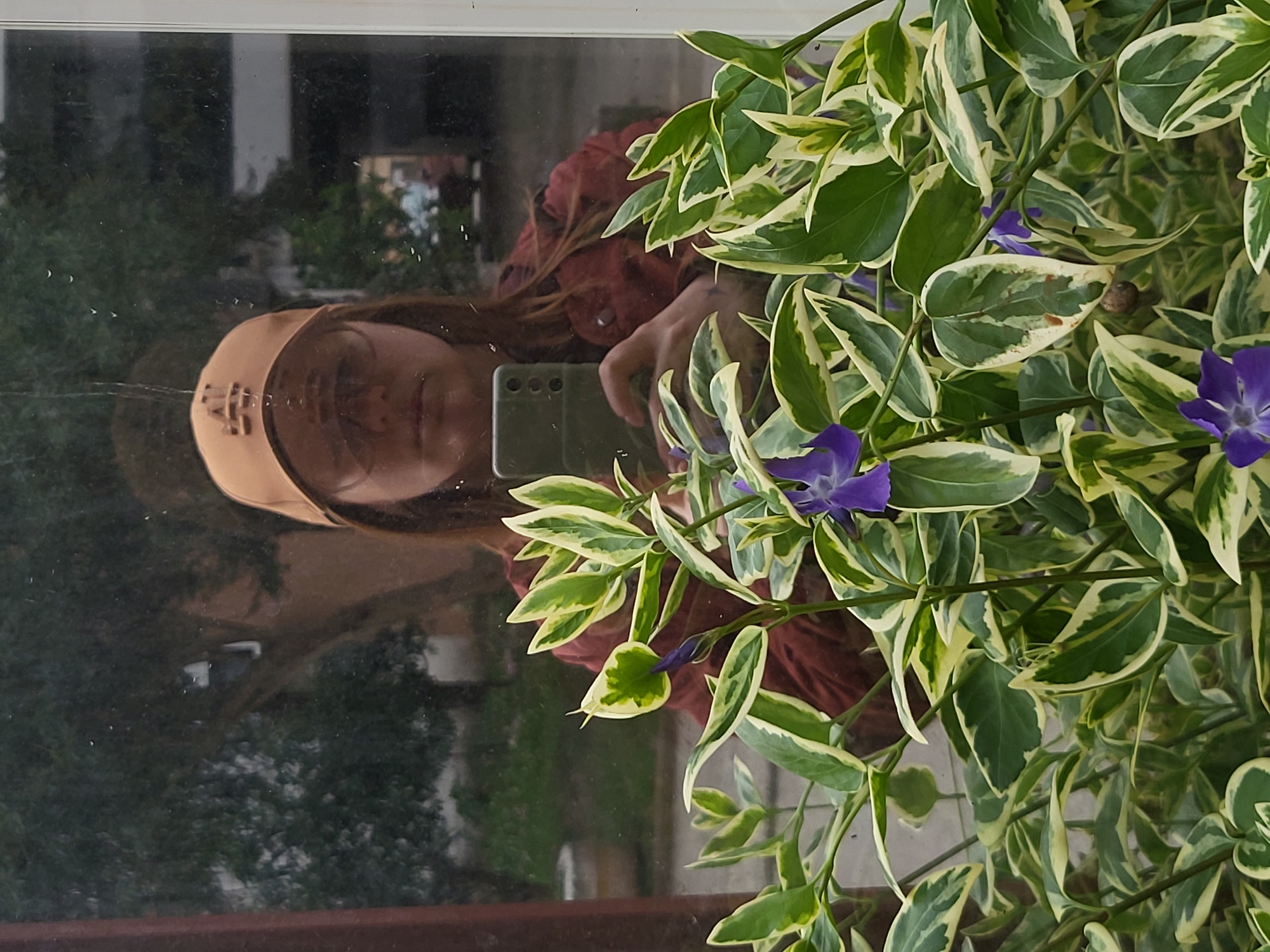 The image depicts a reflection in a window or glass surface. A person wearing a hat and reddish-brown clothing is taking a picture of themselves with a smartphone. The reflection includes a view of the surroundings, including greenery and building structures, possibly located in Budva, Montenegro. In the foreground is a plant with green and white variegated leaves and purple flowers, positioned close to the window or glass surface.