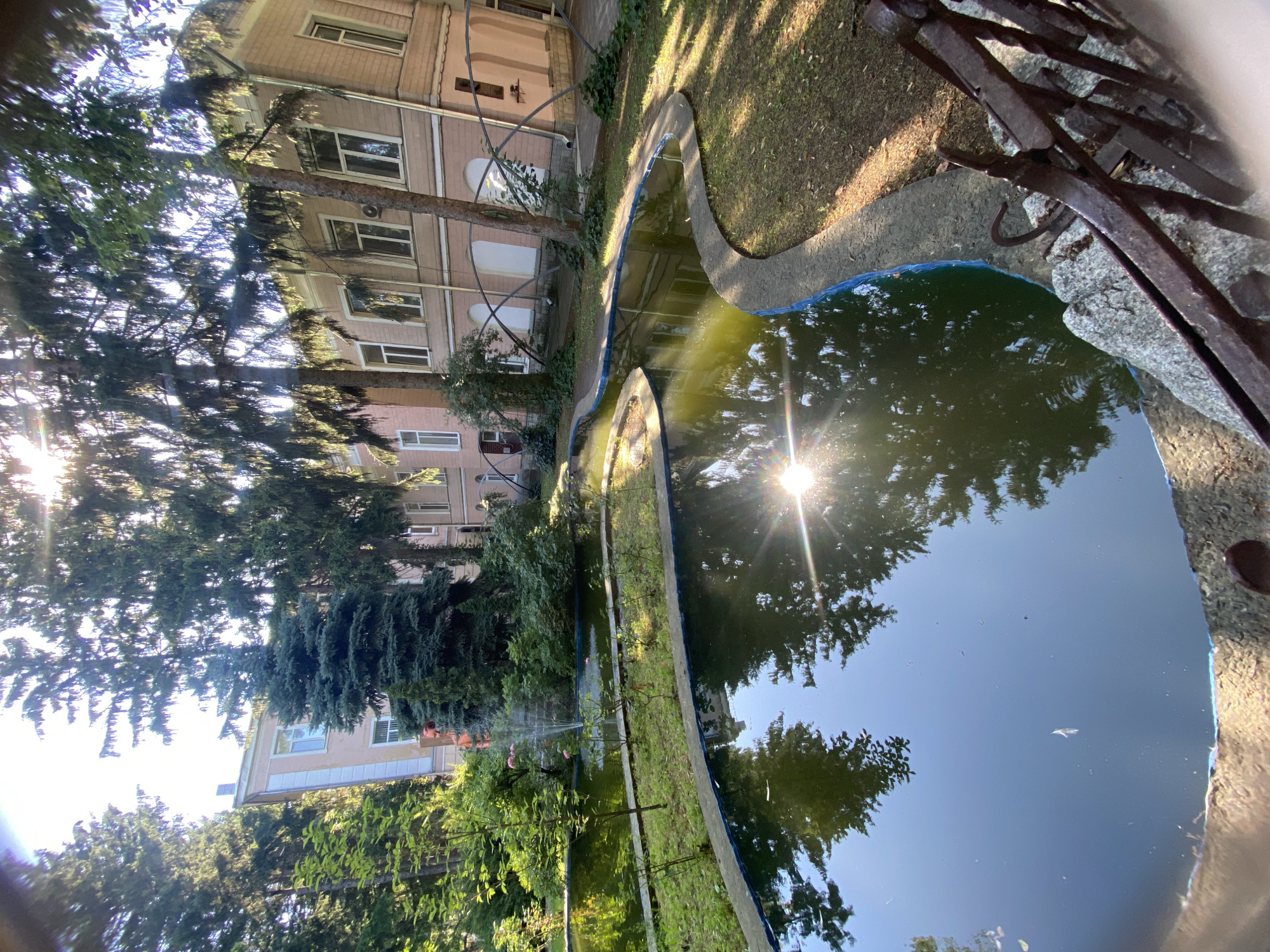 The image depicts a serene courtyard with a pond and a building in Poltava, Ukraine. The pond, with its irregular shape and concrete border, reflects the surrounding trees and the bright sun. A small fountain sprays water in the background, adding a touch of movement to the scene. Lush greenery and tall trees surround the pond, creating a tranquil atmosphere. The building, characterized by its light pink facade and numerous windows, stands adjacent to the pond, its reflection also visible in the water. The overall impression is one of a peaceful, natural setting within an urban environment.