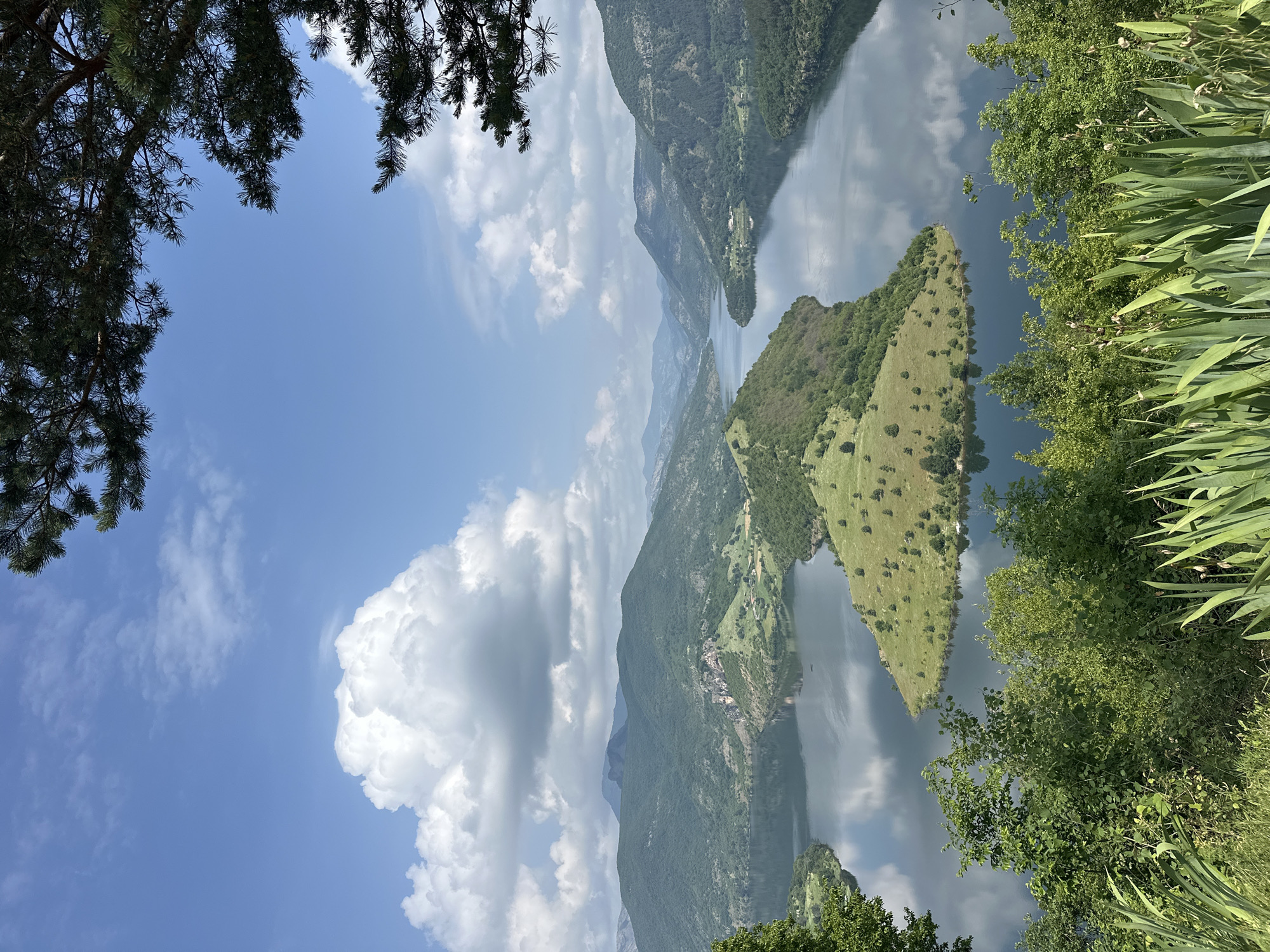 This upright-oriented image presents a majestic, panoramic landscape of the Borovitsa Reservoir in Bulgaria, showcasing a serene natural environment under a clear sky.
The central and dominant feature is a vast body of calm water, reflecting the blue sky and scattered white clouds like a mirror. This expansive reservoir is intricately shaped by surrounding steep mountains and hills, which are densely covered in dark green, coniferous, and deciduous trees. In the mid-ground, a prominent, elongated peninsula or island juts into the water, distinguished by its vibrant green, grassy slopes dotted with scattered small trees and bushes. Other landforms and distant mountain ranges recede into a hazy blue, indicating the depth and scale of the landscape.
The sky above is a bright, clear blue, adorned with numerous fluffy, white cumulus clouds of varying sizes, some larger and more defined towards the right side of the frame. The scene is naturally framed by rich green foliage in the foreground. Dark green pine branches with their distinctive needles extend into the top and upper-left corner, while a lush array of lighter green leafy bushes and tall, sword-like plants occupies the right and lower-right edges, suggesting the viewpoint is from a forested overlook.
The photograph captures a peaceful moment on a bright, sunny day, likely late morning or early afternoon, given the clear visibility and even lighting across the landscape. There are no people or specific activities depicted, emphasizing the untouched and tranquil beauty of the Bulgarian mountains and reservoir. No visible text is present in the image.