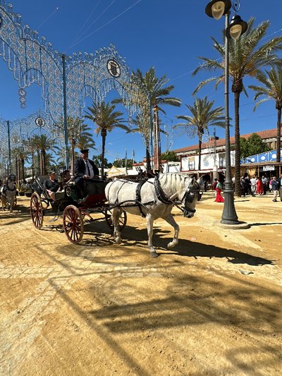 A horse-drawn carriage is moving along a dirt road in what appears to be a festival or fair setting in Jerez de la Frontera, Spain. The carriage is pulled by a light gray horse and carries a driver in a dark suit and hat, and two passengers. Decorative lights arch over the road. Palm trees line the street and a crowd of people is visible in the background. Buildings, possibly booths or casetas, are also present.