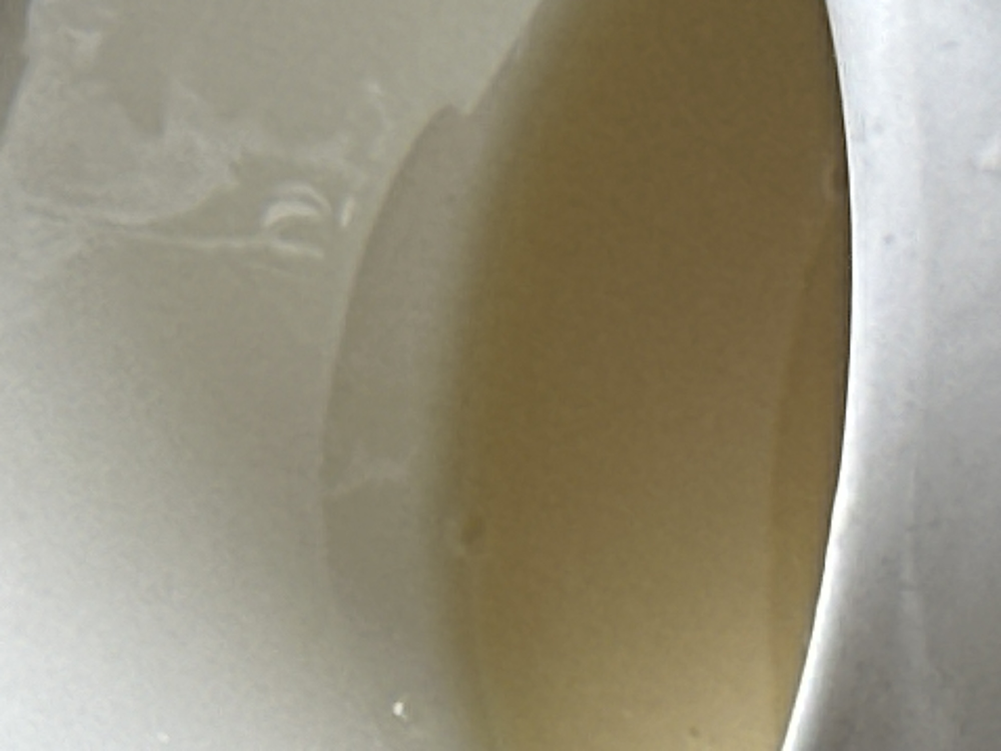 The image shows the inside of a white mug filled with a yellow-brown liquid, potentially tea or coffee. The focus is on the liquid and the interior surface of the mug. No location information is discernible from the image.