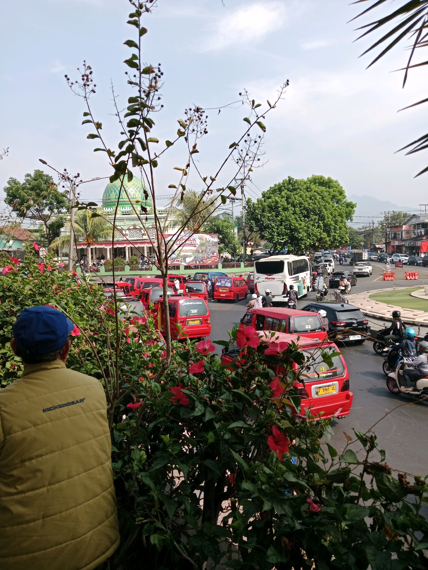 The image depicts a busy street scene in Cianjur, Indonesia, with a prominent mosque featuring a green dome in the background. The foreground is dominated by lush green foliage and vibrant red hibiscus flowers, partially obscuring the view of the street. A person wearing a blue cap and a yellow jacket is partially visible on the left side of the frame, facing away from the camera.
The street is filled with a variety of vehicles, including red minivans, a white bus with "Marilia" written on its side, motorcycles, and cars. Traffic appears to be moving slowly, suggesting a moderate to heavy traffic flow. Several individuals are seen riding motorcycles. In the distance, buildings and trees line the street, and mountains are visible on the horizon. The sky is partly cloudy. A large banner with Indonesian text is displayed on the side of the mosque. The overall impression is one of a vibrant and active urban environment.
