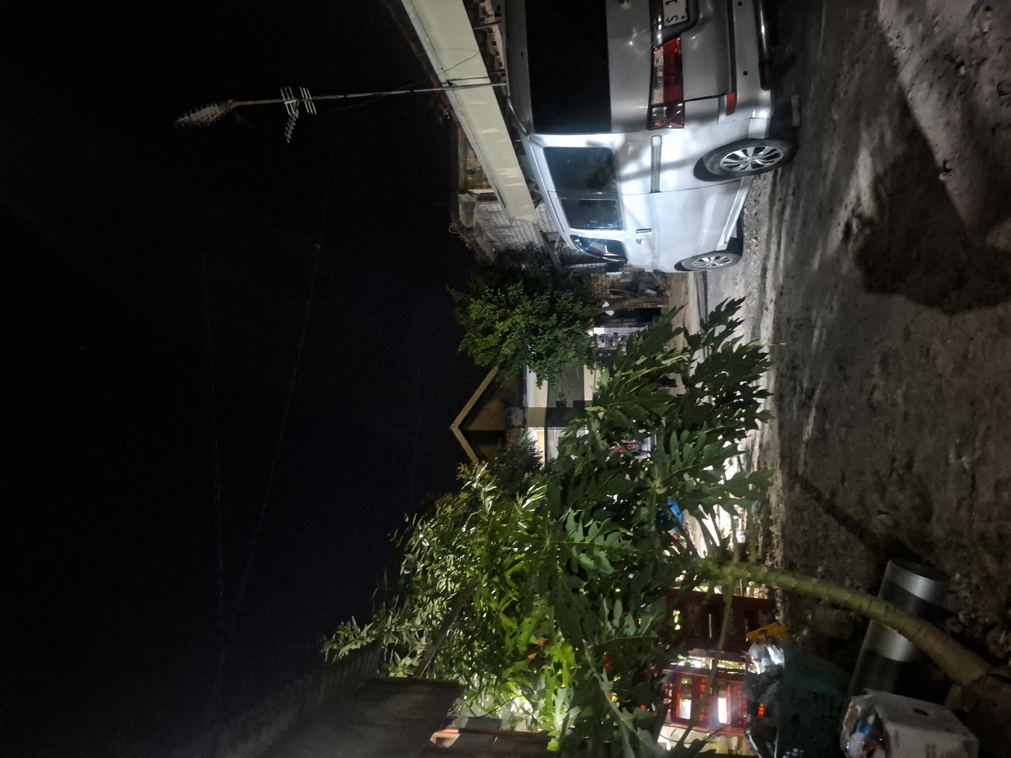 The image depicts an outdoor scene at night in what appears to be a residential or alleyway area in Bulubrangsi, Indonesia. The foreground is dominated by a large, leafy green tree with a thick, textured trunk, casting shadows on the dirt ground. To the right, a silver minivan is parked, facing away from the camera. The minivan has tinted windows and alloy wheels. Behind the tree, red plastic crates are stacked. In the background, structures suggestive of homes with pitched roofs are visible, illuminated by ambient light. A television antenna is mounted on a pole extending from one of the buildings. The sky is dark and devoid of stars or prominent features. The overall impression is a still, quiet night scene in a semi-urban environment.