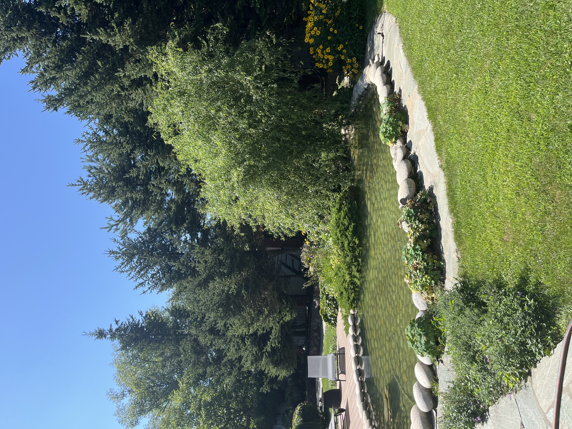 The image depicts a serene backyard scene with a pond surrounded by lush greenery and mature trees. The pond itself is shallow, with a rocky bottom visible through the clear, greenish water. A stone border frames the pond, separating it from the neatly manicured lawn and various garden beds.
In the foreground, a flagstone path leads towards the pond, bordered by flowering plants. To the left, a wooden deck area features two lounge chairs and a small table. The background is dominated by tall evergreen trees and a weeping willow, creating a sense of enclosure and privacy. A patch of bright yellow flowers adds a vibrant splash of color to the right side of the pond. The sky above is a clear, cloudless blue.
There are no people visible in the image, nor any indication of specific actions or interactions. The scene suggests a well-maintained private garden or a park.
There is no information in the image that allows for the determination of its specific location in Vladivostok, Russia. The scene is a generic representation of a garden that could be found in many temperate regions.