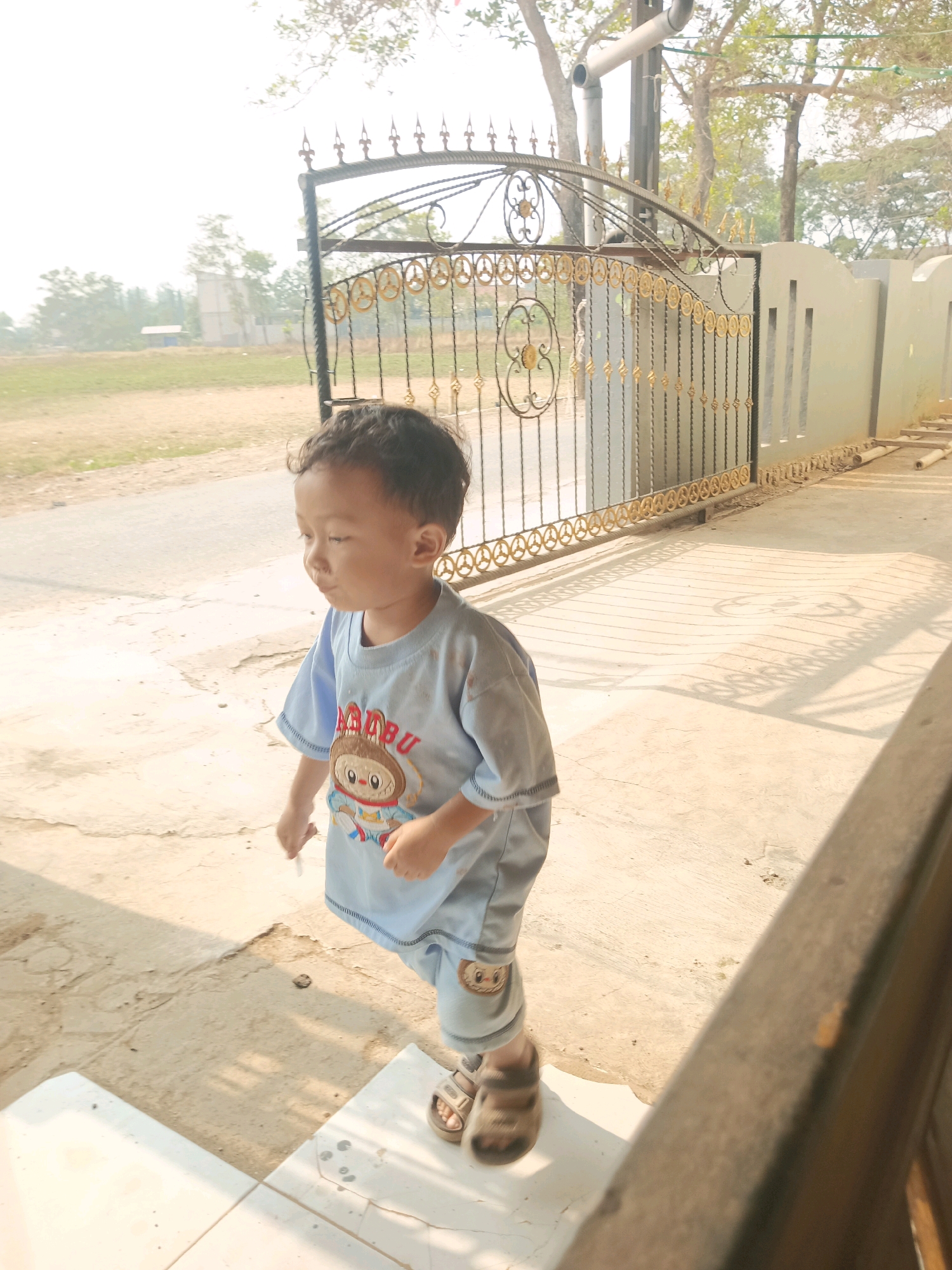 Memory