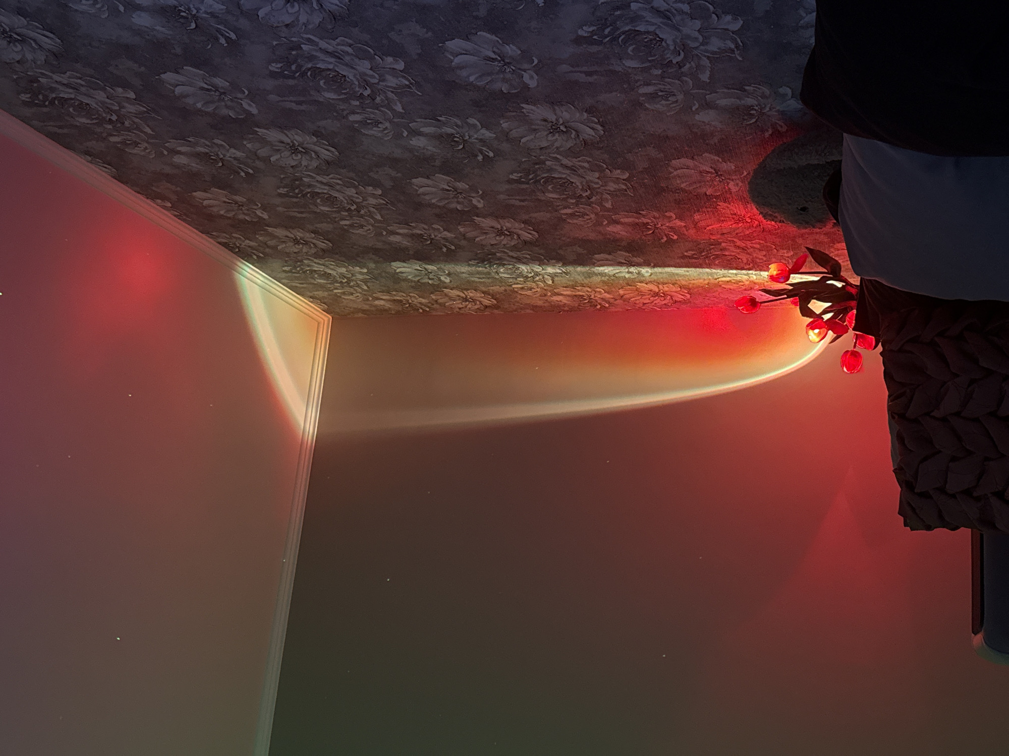 The image depicts an indoor corner of a room, likely a living room or bedroom, illuminated by a sunset lamp. The left wall is a plain, dark gray. The right wall is covered in dark gray floral wallpaper. A white ceiling meets the walls at a corner. A beam of light, emanating from the sunset lamp, casts a colorful glow across the corner, transitioning from red at the bottom to yellow and orange at the top where it meets the ceiling. The light also casts a faint glow on the left wall.
In the foreground, on the floor or a low surface, is a dark woven cushion or throw. To the right of the cushion, a decorative lamp with red tulip-shaped lights is visible. Behind the tulips and cushion, the head and ears of a light green plush toy, possibly a bunny, are visible. To the right of the plush toy, a section of a dark sofa or chair is visible. The overall atmosphere is dimly lit, with the sunset lamp creating a warm, ambient glow. The scene appears to be static, with no people or active interactions depicted. The location is described as Unknown, Unknown, implying no specific city or region can be identified.