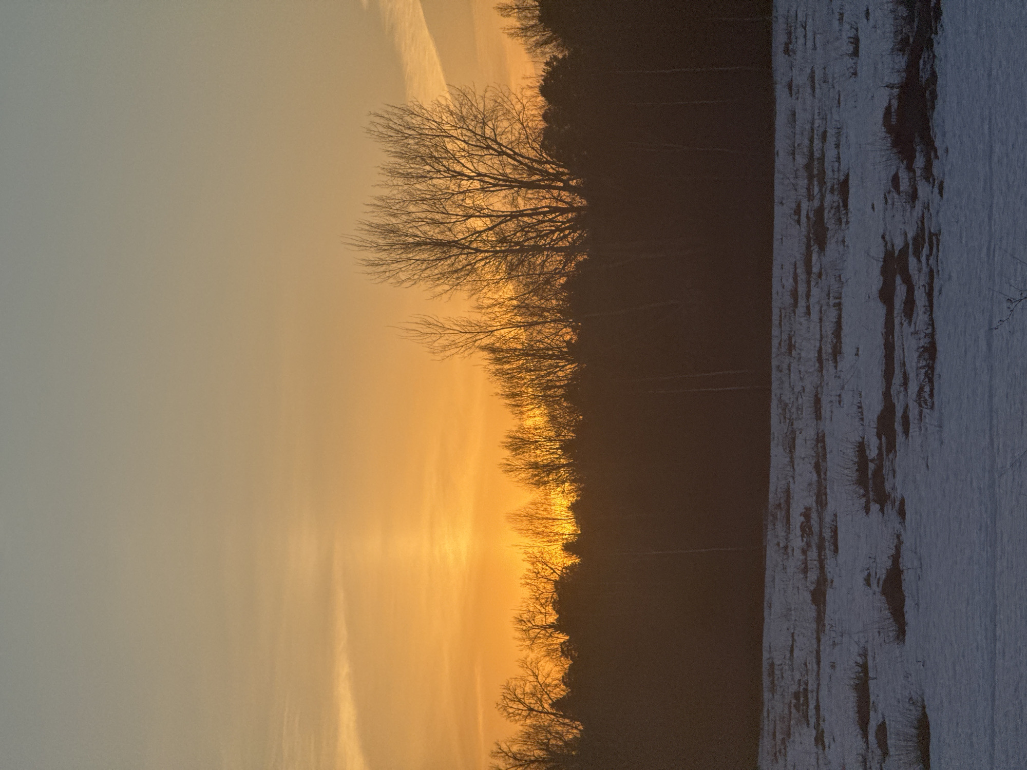 The image captures a landscape at sunset, likely in a cold or snowy environment. The sky transitions from a pale gray to a vibrant orange hue near the horizon, suggesting the sun is setting. Bare tree branches silhouette against the orange glow, and a dark, dense forest borders a field covered in patches of snow and dark vegetation. There are no visible people or specific objects other than the natural elements. The scene depicts a winter sunset over a snowy field next to a forest in the Chaikovsky region of Russia.