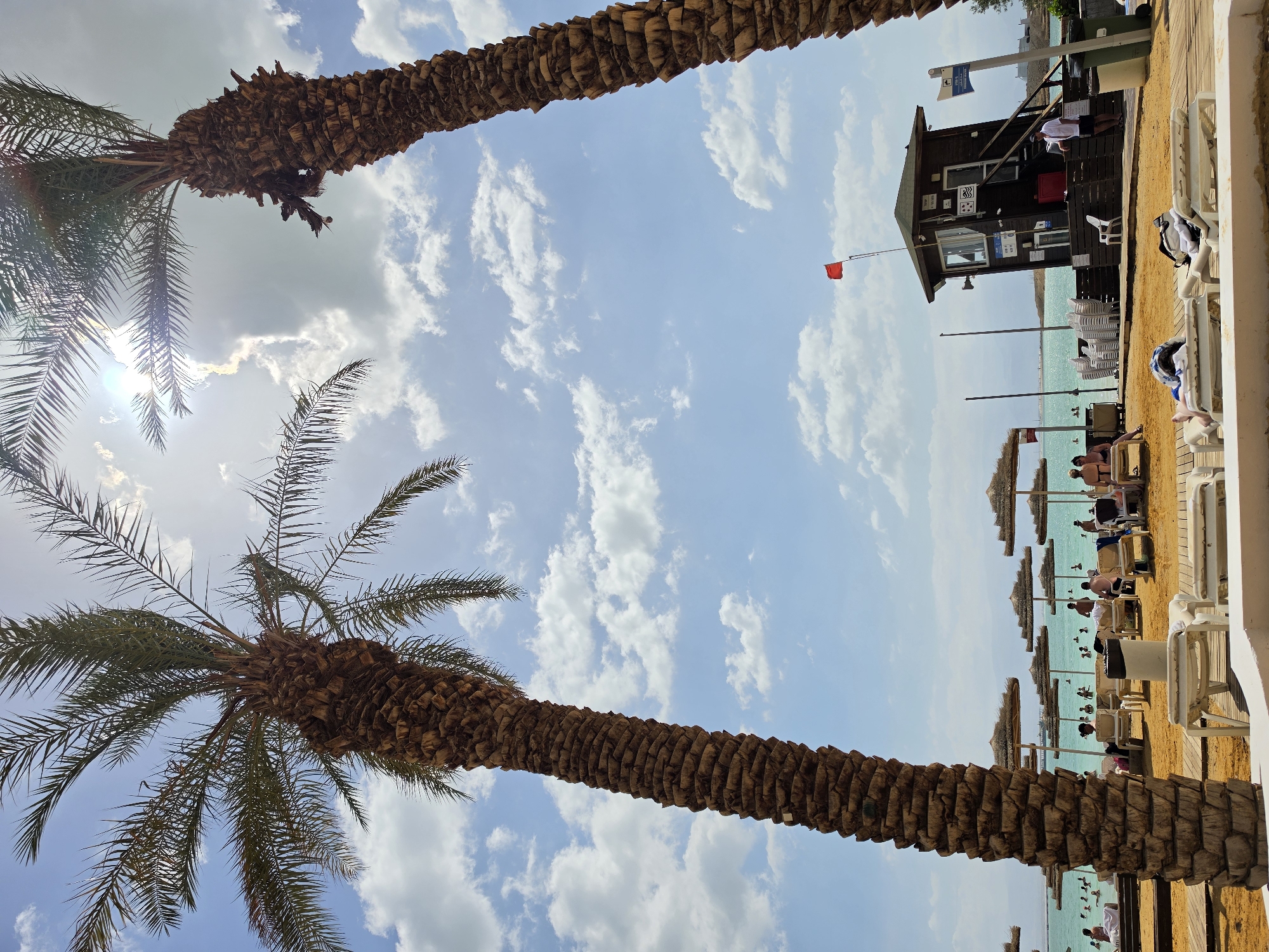 The image shows a beach scene in Tamar Regional Council, Israel. Two palm trees frame the view of the beach, with the sky visible between them. A lifeguard tower stands on the sand, with a red flag flying. The beach is populated with people relaxing on lounge chairs under umbrellas, and others are in the water. The scene is bathed in daylight under a sky with scattered clouds.