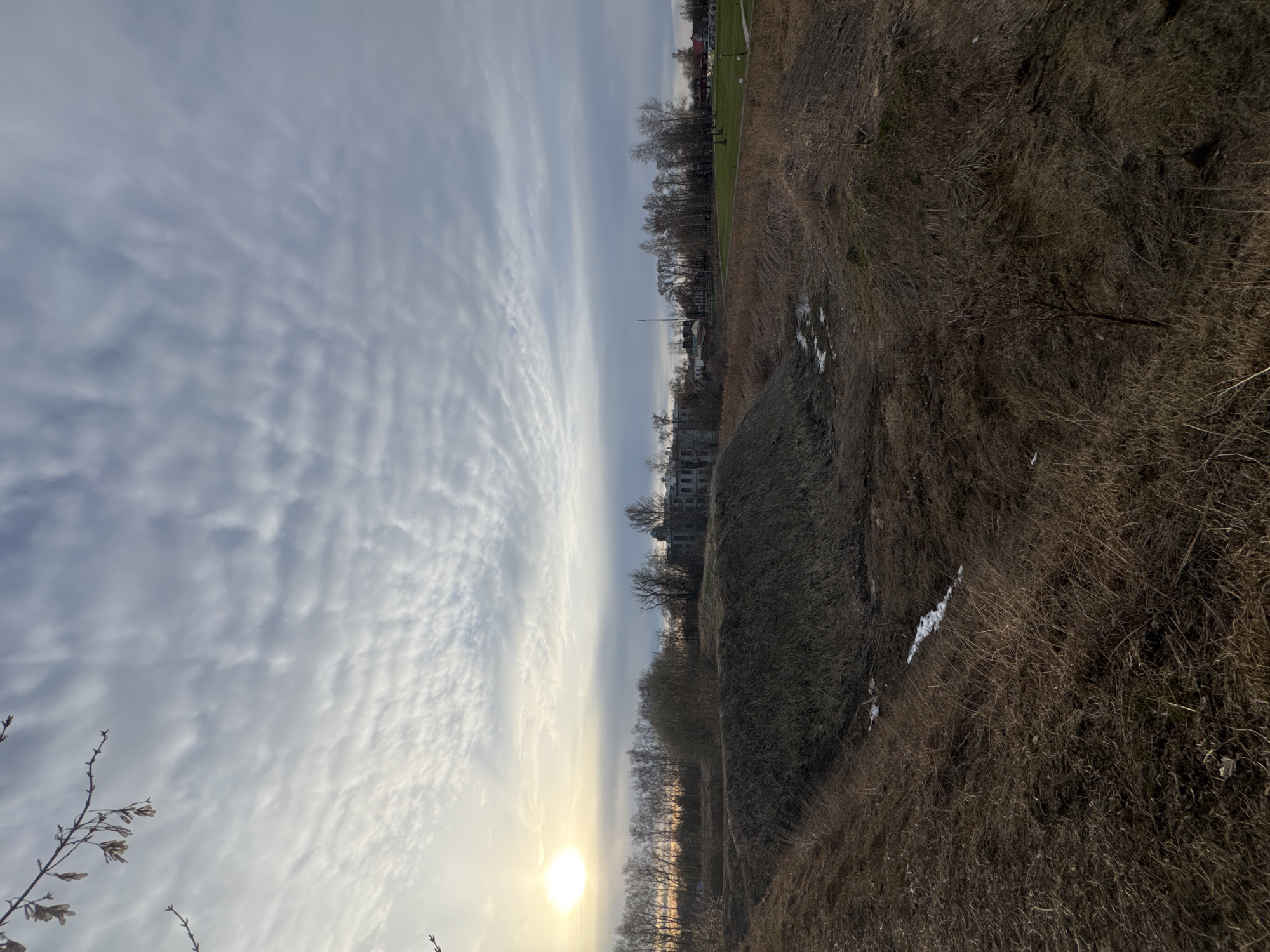 The image shows a landscape in Ново-Никольское, Russia. The foreground is dominated by a field of dry, brown grass. Patches of snow are visible amongst the grass. Beyond the field, there's a line of bare trees separating the field from a green lawn. In the distance, there are buildings and more trees. The sky is covered in textured clouds and the sun is setting.