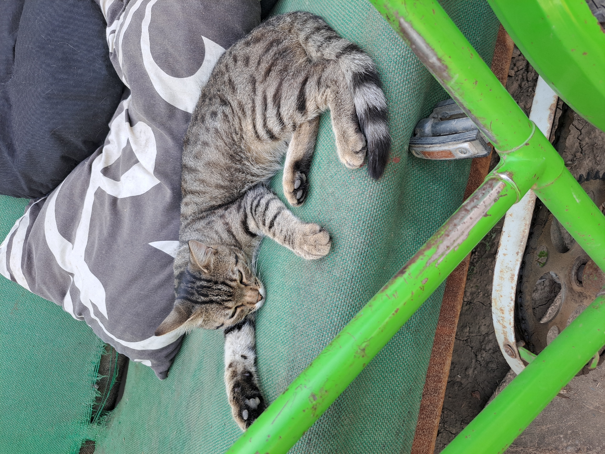 A tabby cat is sleeping on a green, tattered outdoor lounge chair in Vypasne, Ukraine. The cat is curled up with its head resting on its paw and its tail tucked around its body. The chair is covered in a green mesh material that is torn in several places. There are two pillows behind the cat, one with a white star pattern and the other solid dark gray. In the foreground, bright green metal bars, possibly part of a bicycle frame, are visible. The ground beneath the chair appears to be dry, cracked earth, suggesting an outdoor, possibly rural or semi-rural setting.