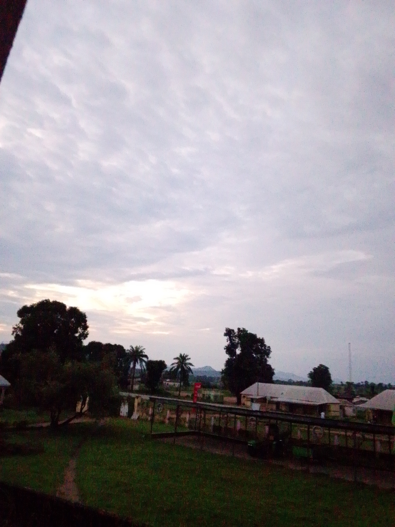 The image depicts a landscape scene in Serti, Nigeria, likely during twilight. The sky is overcast with soft, diffused light, suggesting either dawn or dusk. In the foreground, a grassy area with a dirt path is visible, leading towards a line of buildings. These structures appear to be single-story with corrugated roofs, possibly part of a school or residential compound. A fence runs along the front of the buildings, with some decorative elements. Several trees, including palm trees, are scattered throughout the scene, with a particularly large, dark-leaved tree dominating the left side of the frame. In the distance, a faint silhouette of hills or mountains can be seen. A few indistinct figures are present near the buildings, but their actions are not discernible. The overall impression is one of a peaceful, rural or semi-urban setting in Nigeria.