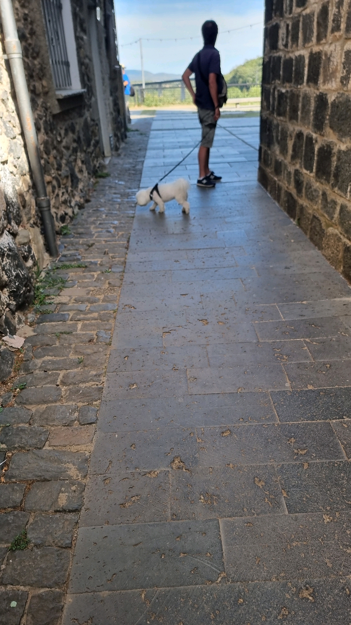 A person is walking a small white dog on a leash down a cobblestone alleyway in Castellfollit de la Roca, Spain. The alley is bordered by stone walls on both sides, with the right side being a dark, rough-hewn stone and the left side a lighter, more finished stone, partially covered by a metal pipe. The ground in the alley is paved with large, dark gray rectangular tiles that show some wear and tear, interspersed with a section of smaller, rougher cobblestones on the left. In the background, the alley opens up to a view of hills and a bright sky. The person, seen from behind, is wearing a dark t-shirt, gray shorts, and dark sneakers. They have a bag slung over their right shoulder and their left hand is on their hip. The dog, also seen from behind and from the side, is wearing a black harness and is sniffing the ground. Another person, wearing a blue shirt, is visible further in the background on the left side of the alley.
